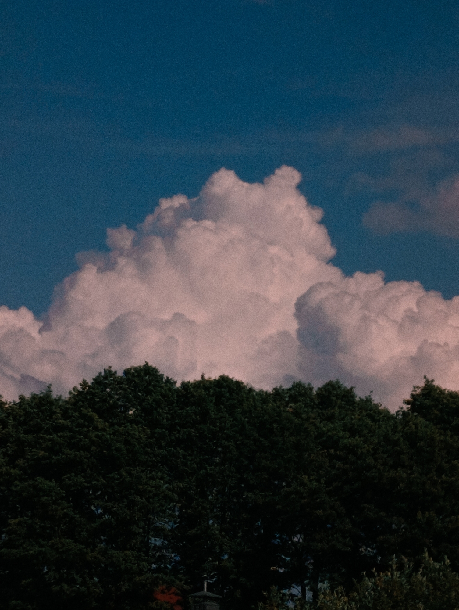 A full shot captures a dense, dark green canopy of trees against a dramatic sky. Towering, puffy white clouds, tinged with pink, dominate the upper portion of the frame, contrasting with the deep blue of the sky. The trees form a thick, textured line across the bottom third of the image, their leaves a uniform dark shade. There are no people or animals visible in the scene. The overall impression is one of natural grandeur, with the dramatic clouds and lush trees suggesting a powerful, perhaps impending, weather event. The location is Unknown, Unknown.
