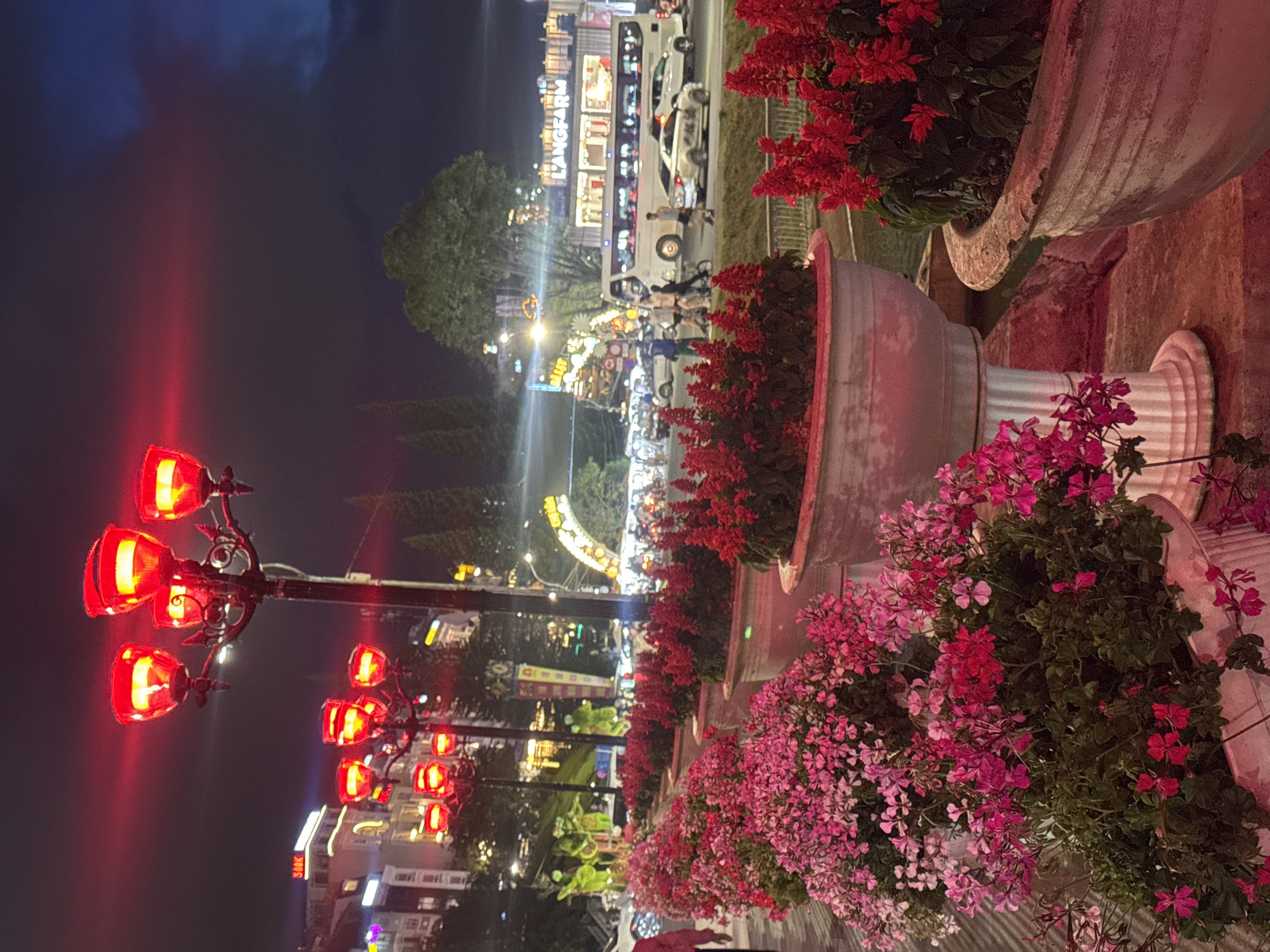 The image shows a night scene in Da Lat, Vietnam, featuring a row of large flower pots filled with vibrant flowers along a street. The flowers are mainly red and pink hues. Streetlights shaped like flowers emit a red glow. In the background, a brightly lit building with "L'ANGFARM" visible on its facade can be seen. Several vehicles, including a double-decker tour bus, are on the road, and people are milling about on the sidewalk. The overall atmosphere is lively and colorful.