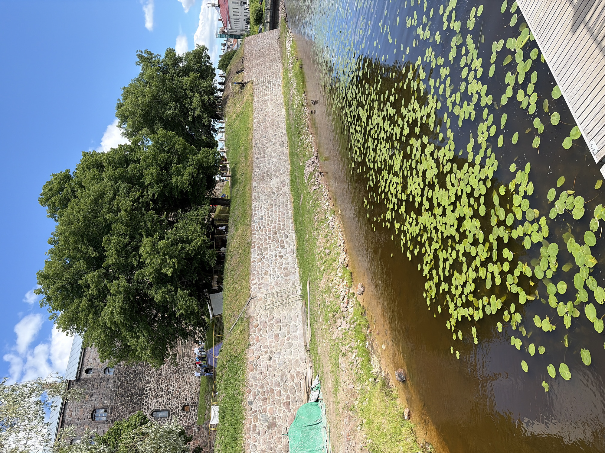 The image shows a view of a moat surrounding an old stone castle. The moat is filled with dark water and covered with lily pads. On the bank of the moat, there is lush green grass. The castle wall is made of rough stone and is covered in ivy in some places. There are several trees growing on top of the castle wall. The sky is blue with white clouds. There are a few people standing on the castle wall, and a few more are walking on the path next to the moat. In the foreground, there is a wooden deck.