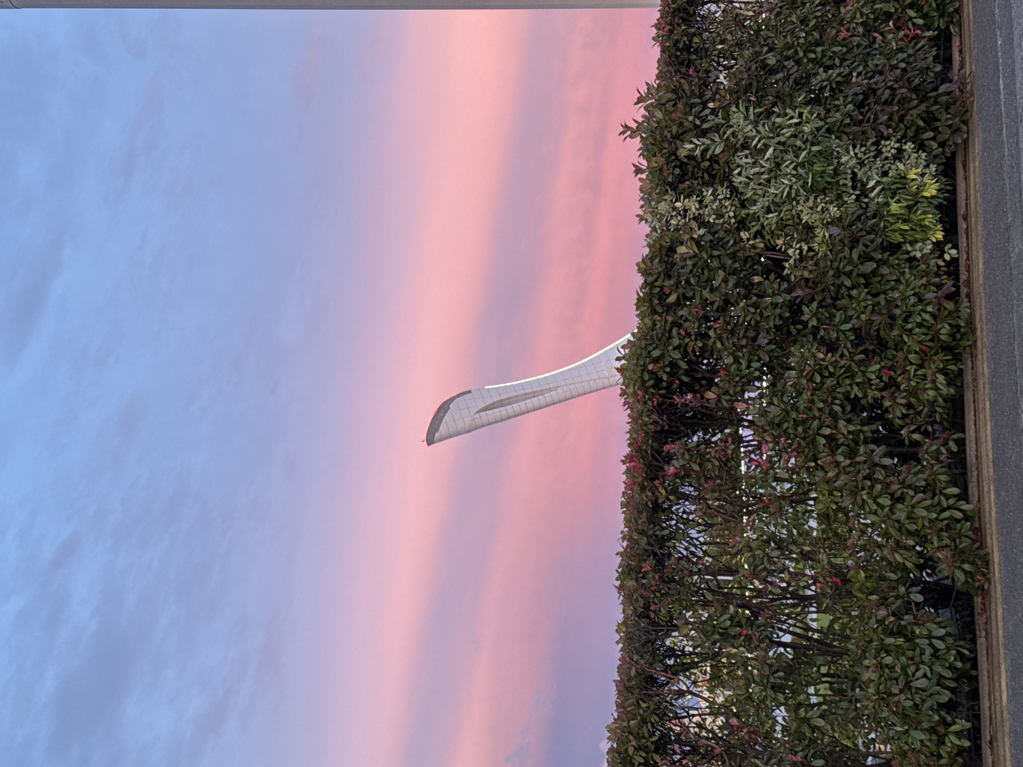 The image depicts a view of the sky in Sirius, Russia, at what appears to be either sunrise or sunset, evidenced by the pink and blue hues in the clouds. A vertical structure, possibly a monument or architectural element, is visible, its white, angled form standing out against the sky. To the right, a dense green hedge or wall of vegetation borders the scene, possibly part of a garden or landscaping feature. A grey structure on the far right edge suggests an architectural support or building fragment.