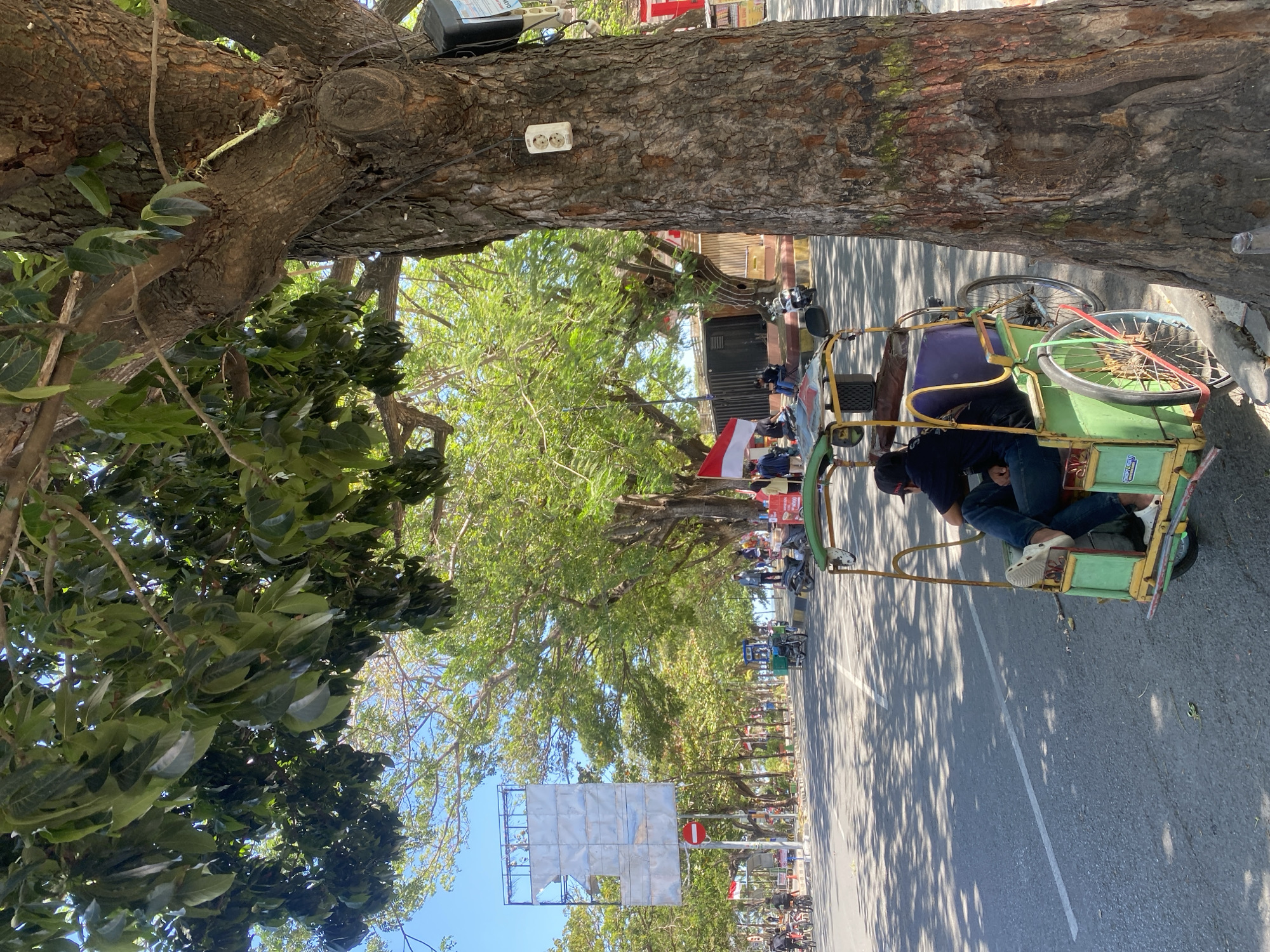 The image shows a street scene in Bantaeng, Indonesia. A three-wheeled vehicle, a type of pedicab, is parked on the side of the road under the shade of a large tree. The pedicab is painted green and yellow, with a purple seat. A person, wearing a black shirt and blue jeans, is seated in the pedicab, facing away from the camera. The street is paved and has a white line marking the lane. In the background, there are other vehicles, people, and trees. The Indonesian flag is visible, suggesting a national holiday or event. The overall impression is a sunny day with a relaxed atmosphere.