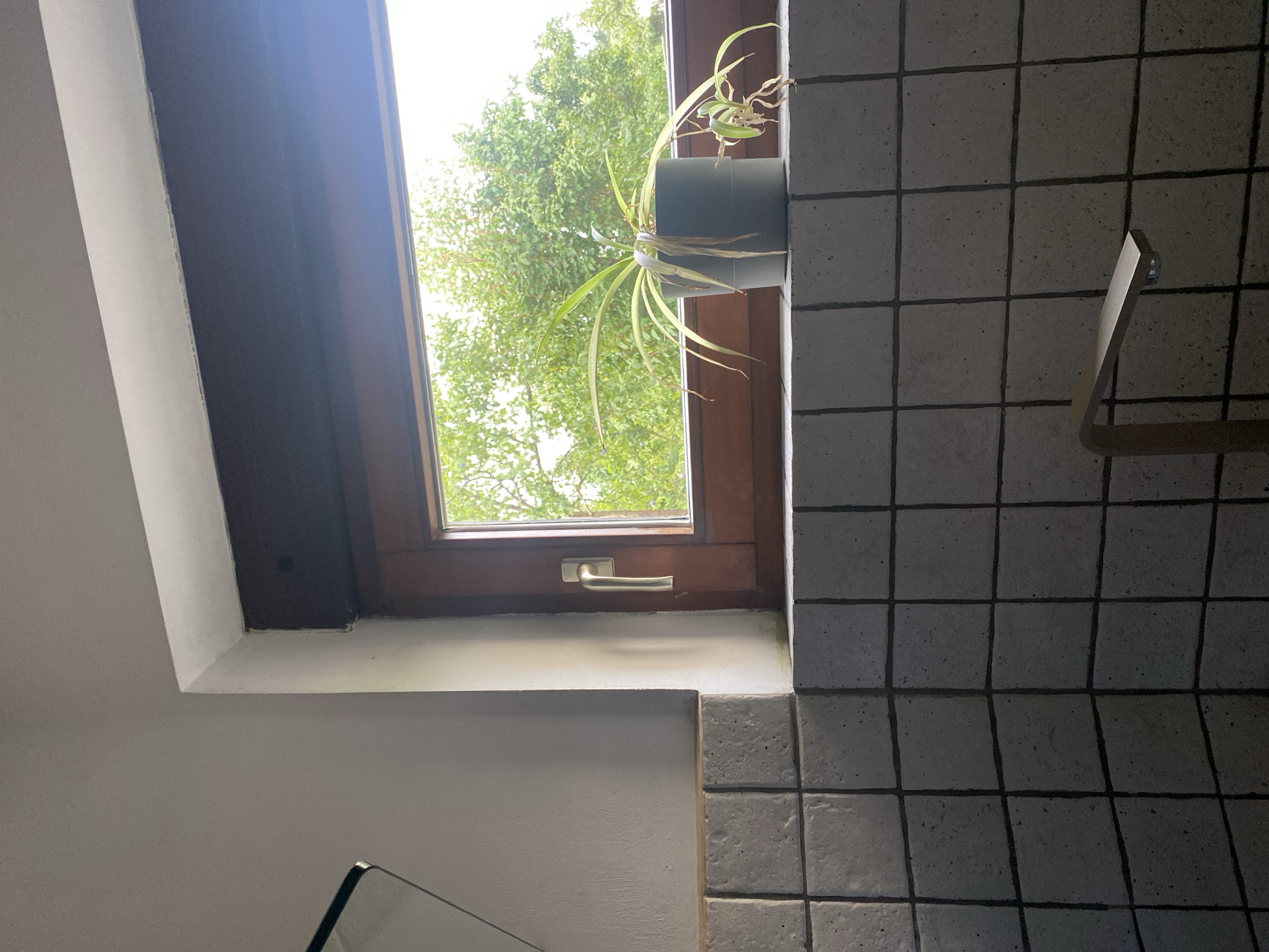 The image depicts an interior scene, likely a bathroom or kitchen, with a window overlooking lush green trees. The window frame is made of dark wood, and the window itself has a silver handle. On the windowsill, a potted spider plant with drooping leaves sits in a gray planter. The walls are tiled with large, square, textured gray tiles. In the foreground, a modern, brushed metal faucet is visible. The scene is well-lit by natural light streaming through the window. The location is not specified in the image or provided context.