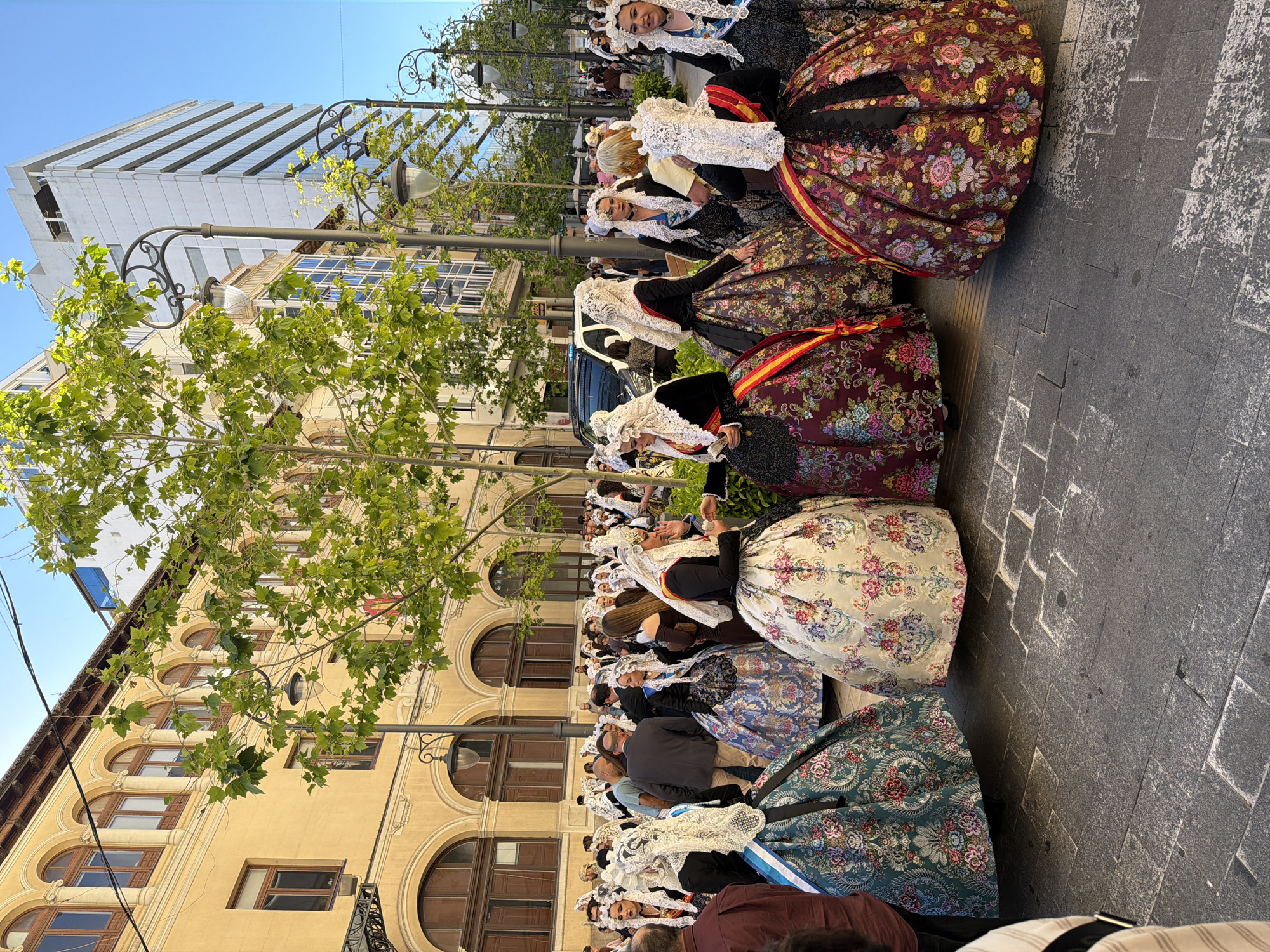 A long line of women stand in a staggered row along a city street in Alicante, Spain. They are wearing matching traditional garments, including long, elaborate skirts with floral designs and white lace head coverings. The women are of various ages. The street is paved with dark gray stone. Behind the women, a pale-yellow building stretches along the street, featuring arched windows and dark shutters. A row of trees with green foliage is visible between the women and the building. Lampposts with curved arms extend above the trees. In the background, a tall, modern building with a stepped facade towers above the traditional architecture. The sky is clear and blue.