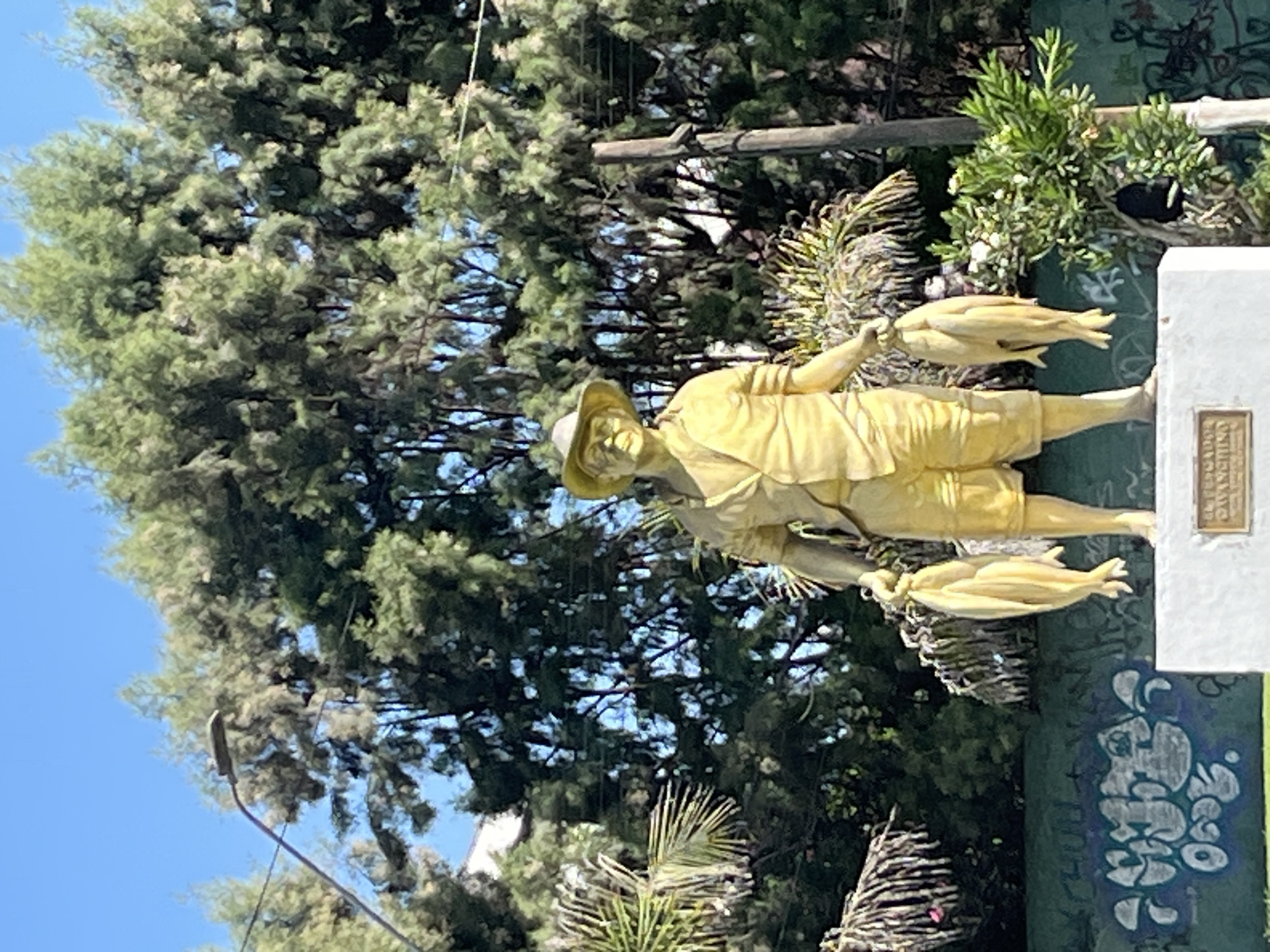The image shows a golden statue of a man in a hat, holding what appears to be fish in both hands. The statue is mounted on a green and white pedestal with lettering in the bottom right. Behind the statue is a large tree and a blue sky. There is also a streetlight visible on the left. The statue is located in Unknown, Unknown.