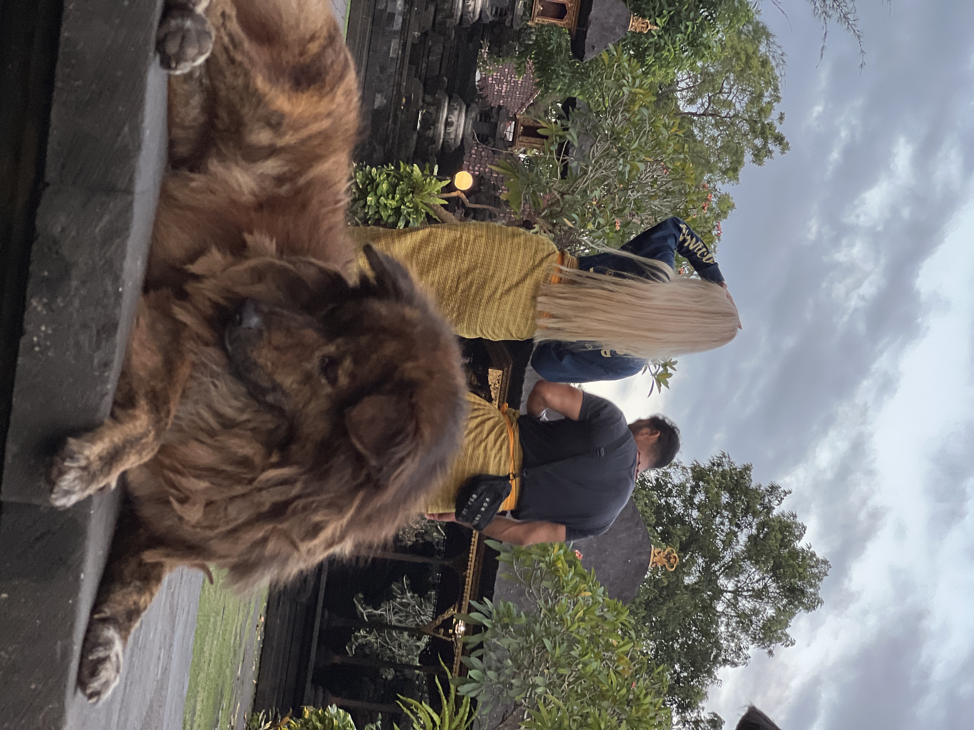 In Dawan, Indonesia, a fluffy brown dog lies on a stone ledge in the foreground of the image. Behind the dog, a woman with long blonde hair is seen from the back, wearing a dark blue jacket and a yellow sarong. She is looking upwards and shielding her eyes with her hand. Beside her, a man is also seen from the back, wearing a black t-shirt, a red necklace, and a yellow sarong. He has a black fanny pack slung across his chest. They appear to be in a temple complex, with traditional Balinese architecture visible in the background, including stone structures, carved details, and tiered roofs. Lush green trees and foliage surround the area, and the sky is overcast with clouds. A small yellow lantern is visible hanging from a tree branch. The overall lighting suggests it might be late afternoon or early evening.