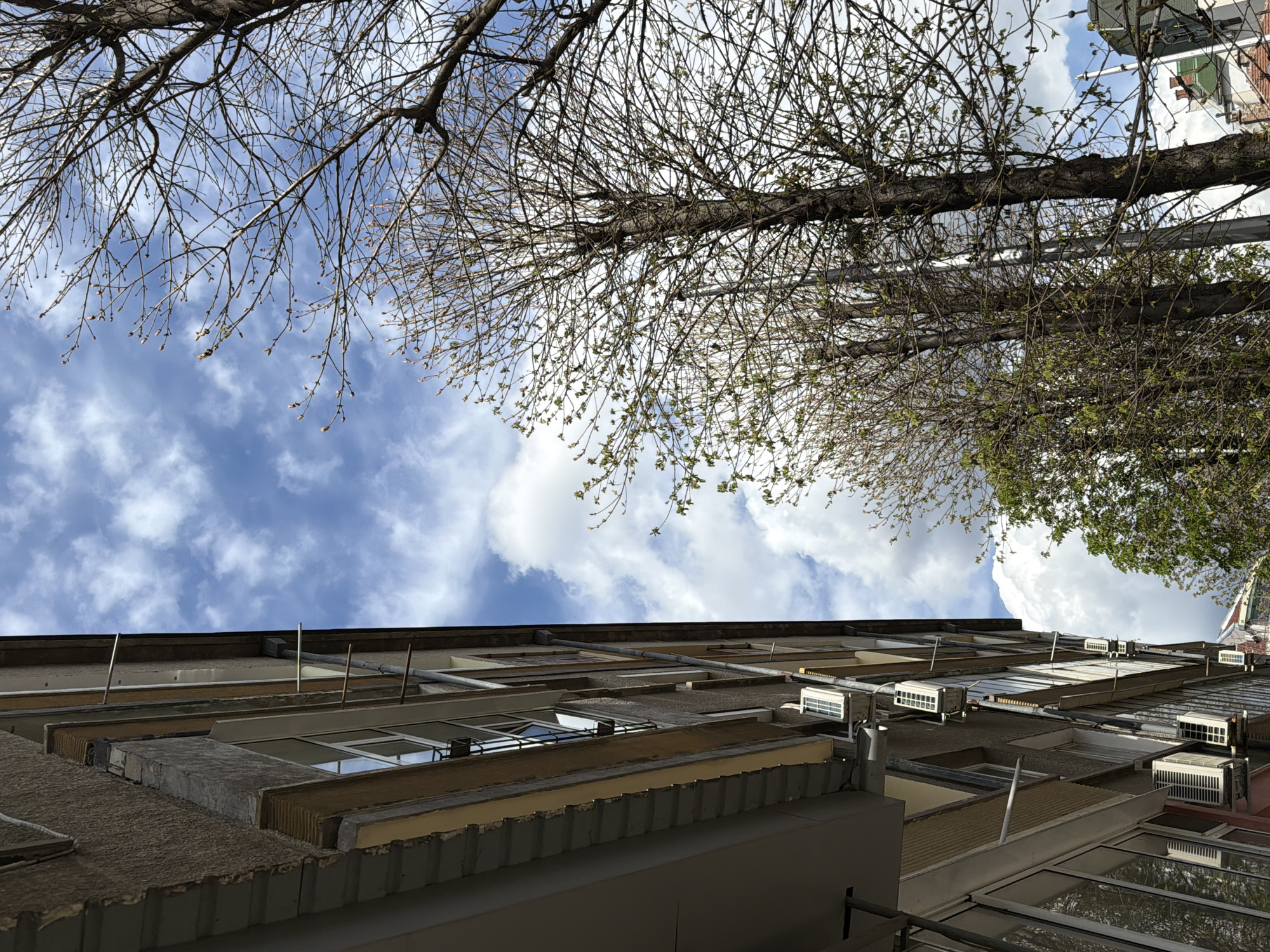 The image shows a low-angle view looking up at a building and trees against a cloudy sky. The building is multi-story, with a concrete facade and windows. Some windows have air conditioning units installed. There are pipes and other fixtures attached to the exterior walls. Trees with bare branches and some budding leaves are visible at the top of the frame, partially obscuring the sky. The sky is blue with white clouds.
While the location appears to be in an urban area, it is difficult to determine that the image location is specifically in Pleven, Bulgaria, given the provided information.