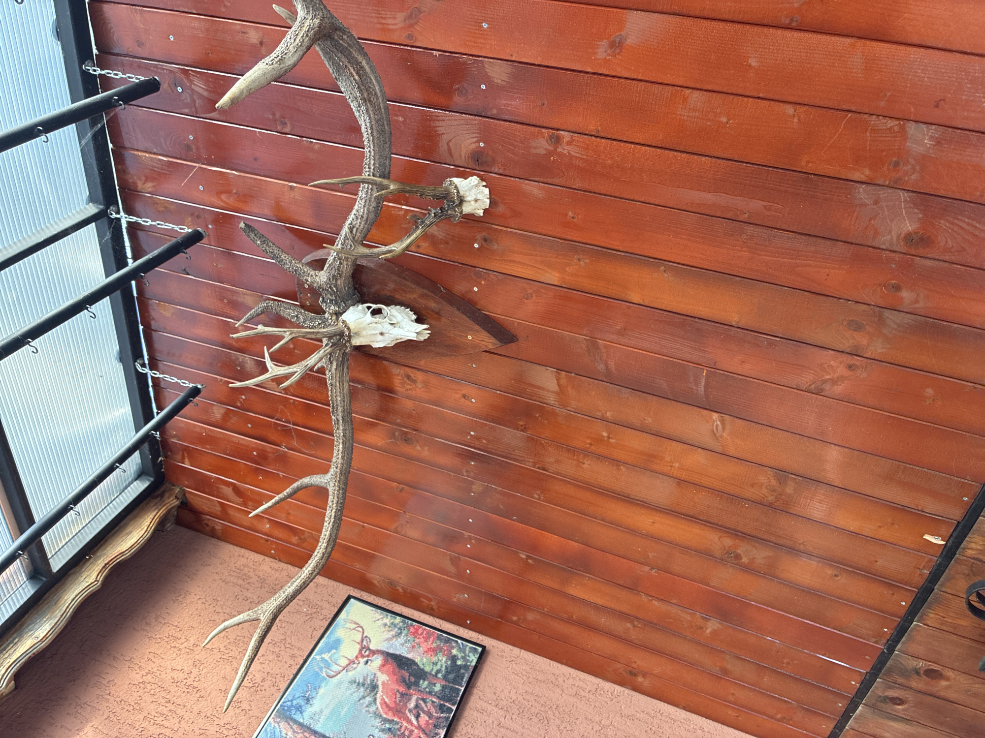 The image shows a deer antler trophy mounted on a brown wooden wall. The trophy consists of a pair of antlers with partial skulls attached. The wall is made of horizontally arranged wooden planks. Below the trophy, near the bottom of the frame, is a framed picture of a deer. To the left of the trophy, there is a glass and metal structure, possibly a window or part of a veranda. The location appears to be indoors, possibly a hunting lodge or a building with a rustic design. The image does not reveal enough information to determine the specific location in Varna, Bulgaria.