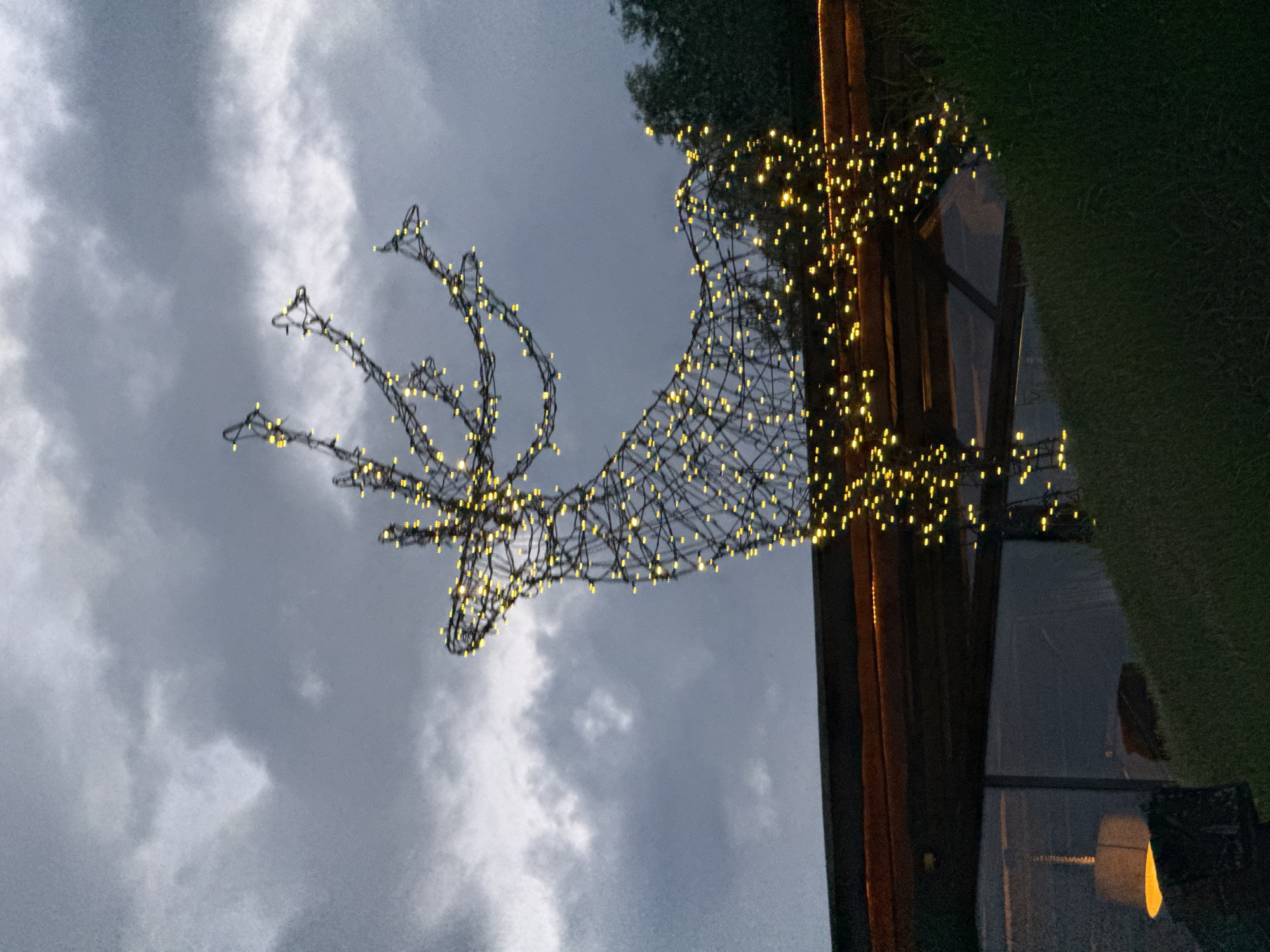 This image depicts a nighttime outdoor scene in Votkinsk, Russia, featuring a large, wireframe reindeer illuminated by numerous small yellow lights. The reindeer decoration is positioned against a dark, cloudy sky, suggesting overcast or stormy weather. Part of a building with a dark, reflective surface is visible to the right of the reindeer, along with some dark green grass in the foreground on the far right. The lights on the reindeer create a festive and somewhat magical atmosphere, contrasting with the gloomy sky. The low angle of the shot emphasizes the size and prominence of the illuminated reindeer. The time of day is clearly night, given the artificial lighting and dark sky. No people are visible in the frame, and there is no visible text.