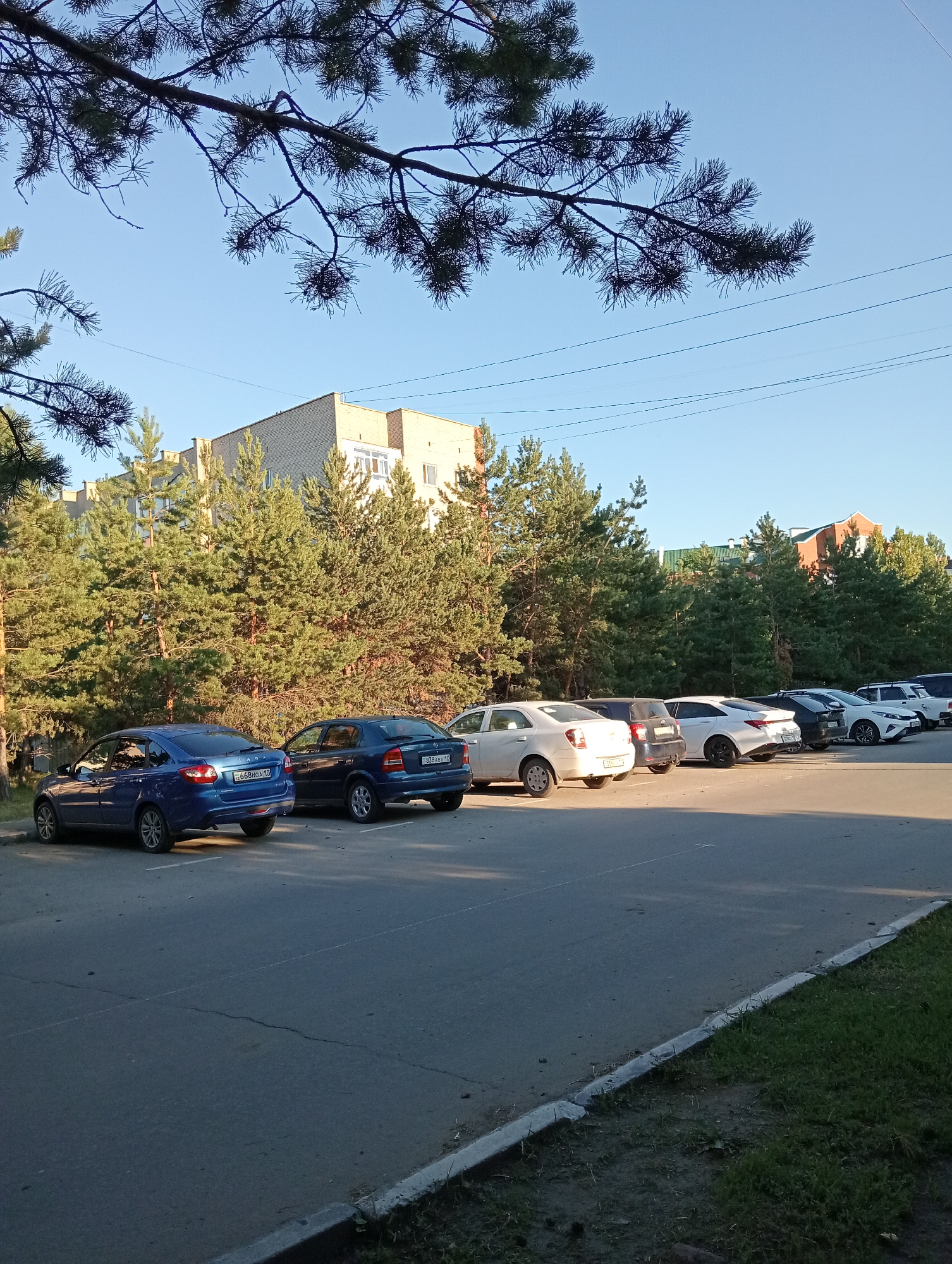 A sunlit parking lot is pictured in a city setting, likely during daylight hours. The foreground shows an asphalt surface with visible cracks, bordered by a grassy verge and a concrete curb. A line of cars is parked along the lot. From left to right, the vehicles include a blue sedan, a dark blue hatchback, a white sedan, a black sedan, a white sedan with a sunroof, and a white SUV. Pine trees line the background, separating the parking lot from a light-colored, multi-story building. The sky above is clear and blue, with some power lines visible. A branch of a pine tree overhangs the top left of the frame.