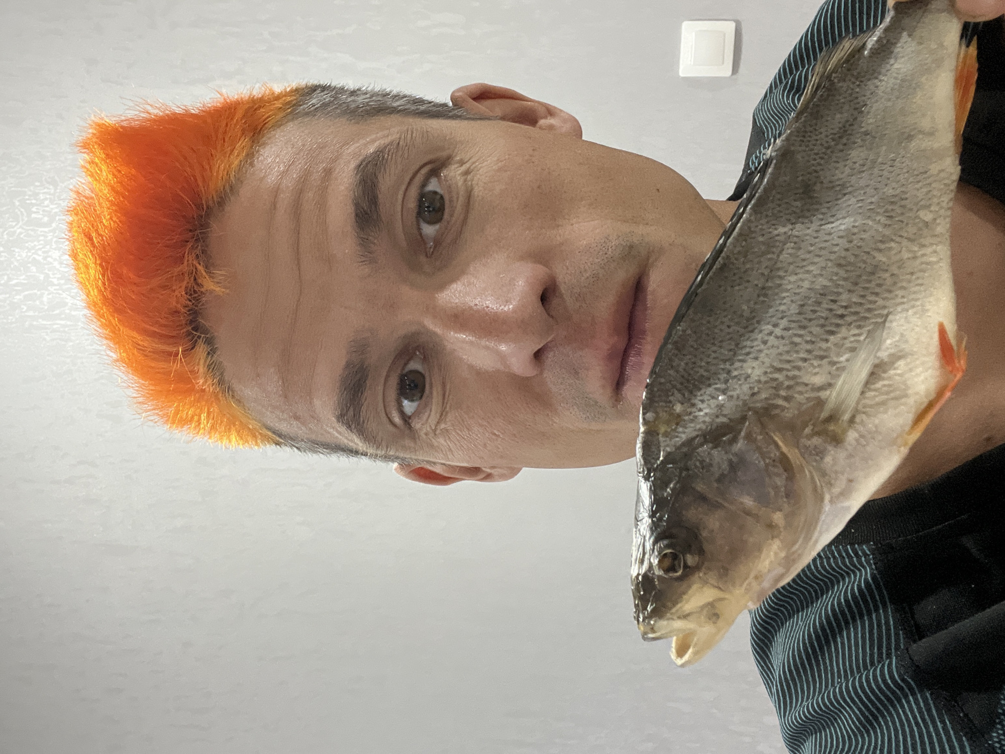 A close-up, slightly low-angle shot captures a man holding a fish. The man has short, gray hair with a section dyed bright orange at the front. He gazes directly at the camera with brown eyes. The fish he holds is gray, possibly dried, and takes up a significant portion of the right side of the image. The background is a plain light gray wall with a light switch visible in the upper right corner. The man wears a dark shirt with narrow, light blue stripes. The setting is assumed to be in the city of Chaikovsky, Russia.