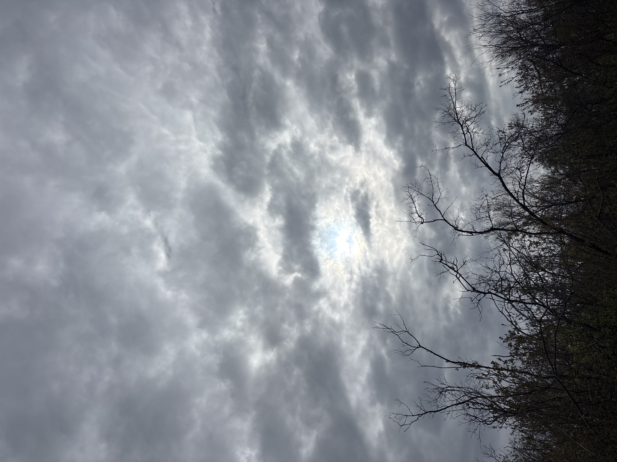 The image depicts a view looking upwards towards a sky filled with dense, gray clouds. There's a brighter area suggesting the sun is obscured by the clouds. In the top right corner of the frame, there are tree branches, some bare and others with green buds or leaves, suggesting early spring or late autumn. The camera angle is low, pointed up, emphasizing the expanse of the sky. The absence of any distinct urban features indicates the scene is likely at the outskirts or in a park area. The location being in Orenburg, Russia cannot be verified with the provided information.
