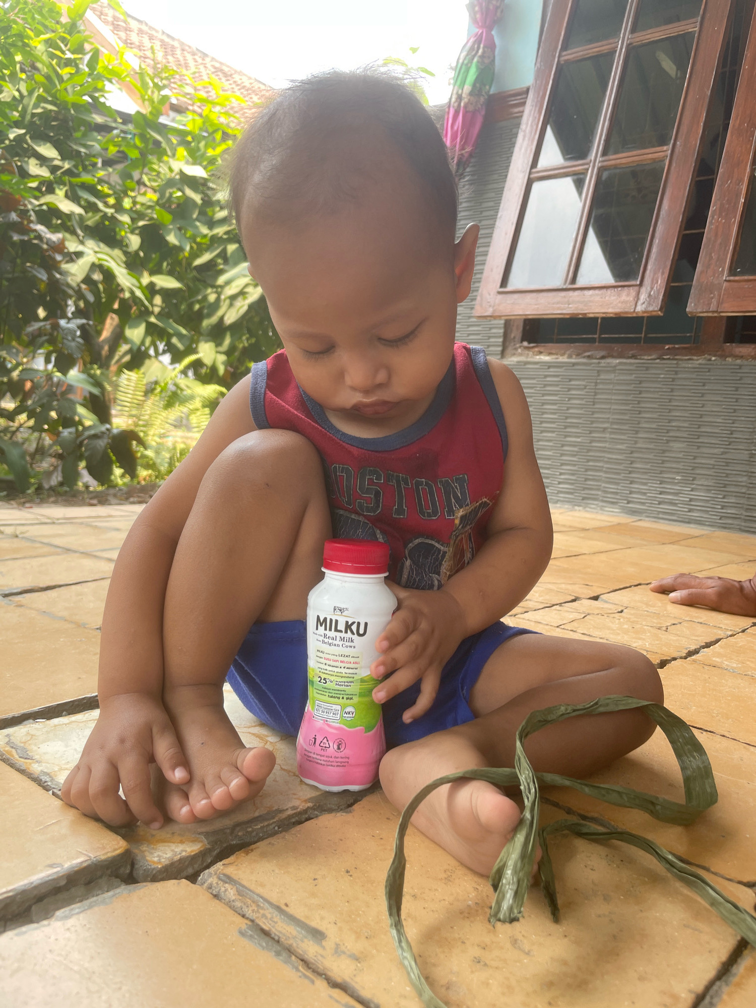 A young child is sitting on an outdoor tiled patio. The child is wearing a red sleeveless shirt with "BOSTON" printed on it in white letters and blue shorts. The child is holding a white bottle of "MILKU" with a red cap. The bottle has green and pink labels with text in a foreign language and a "25%" marker. The child is looking down at the bottle with their eyes closed. A dried green leaf is lying on the patio in front of the child. In the background, there are lush green plants, a house with wooden-framed windows, and a tiled roof. The scene appears to be in a residential area in Kebon Waris, Indonesia.