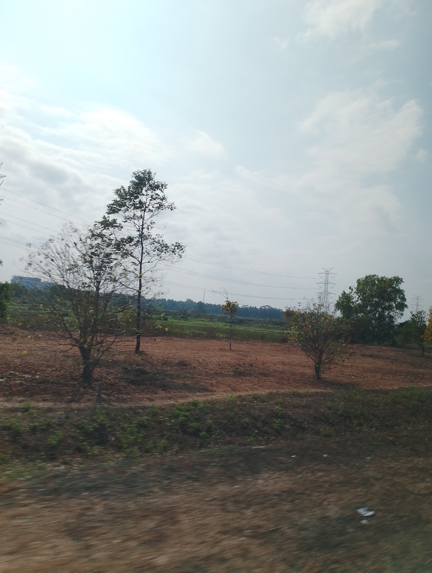 This is a horizontal, outdoor, full shot photograph of a barren landscape under a pale sky with scattered clouds. In the foreground, a dirt path with some sparse green vegetation runs across the bottom of the frame. In the midground, there are a few trees with sparse foliage and some brown, dry ground. In the background, there are more trees, fields, and several electrical towers with power lines stretching across the scene. The overall impression is one of a rural or undeveloped area.