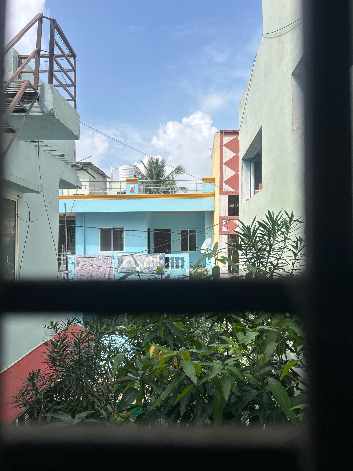 The image captures a view through a dark, window-like frame, revealing a residential area under a bright, partly cloudy blue sky. The architecture suggests a South Asian setting, likely in a city like Bhopal, India.
In the foreground, lush green foliage, possibly from a mango tree, obscures the lower part of the scene. These leaves are the closest objects to the viewer, suggesting the perspective is from an interior space looking outwards.
Beyond the foliage, several buildings are visible. On the left, a light blue building has a balcony or ledge with a metal railing and what appears to be an unfinished construction element or an outdoor staircase structure. Further back, a vibrant aqua-blue building stands out, featuring two windows with white frames and barred security. Clothes are seen hanging to dry on a line in front of this building. A satellite dish is also attached to this building. Above the aqua-blue building, a white water tank is perched on the roof, alongside a small decorative idol and railings. A palm tree is visible behind this structure.
To the right of the aqua-blue building, a yellow building with a striking red and white geometric pattern is partly visible. Adjacent to this, a larger, light green building occupies the right side of the frame. It has a large, recessed opening that could be a window or doorway, with shadows falling across its facade.
The overall impression is one of a densely populated urban environment, with residential buildings closely packed and hints of daily life, such as laundry hanging out to dry. The clear sky and the presence of greenery indicate a warm, possibly tropical or subtropical climate.