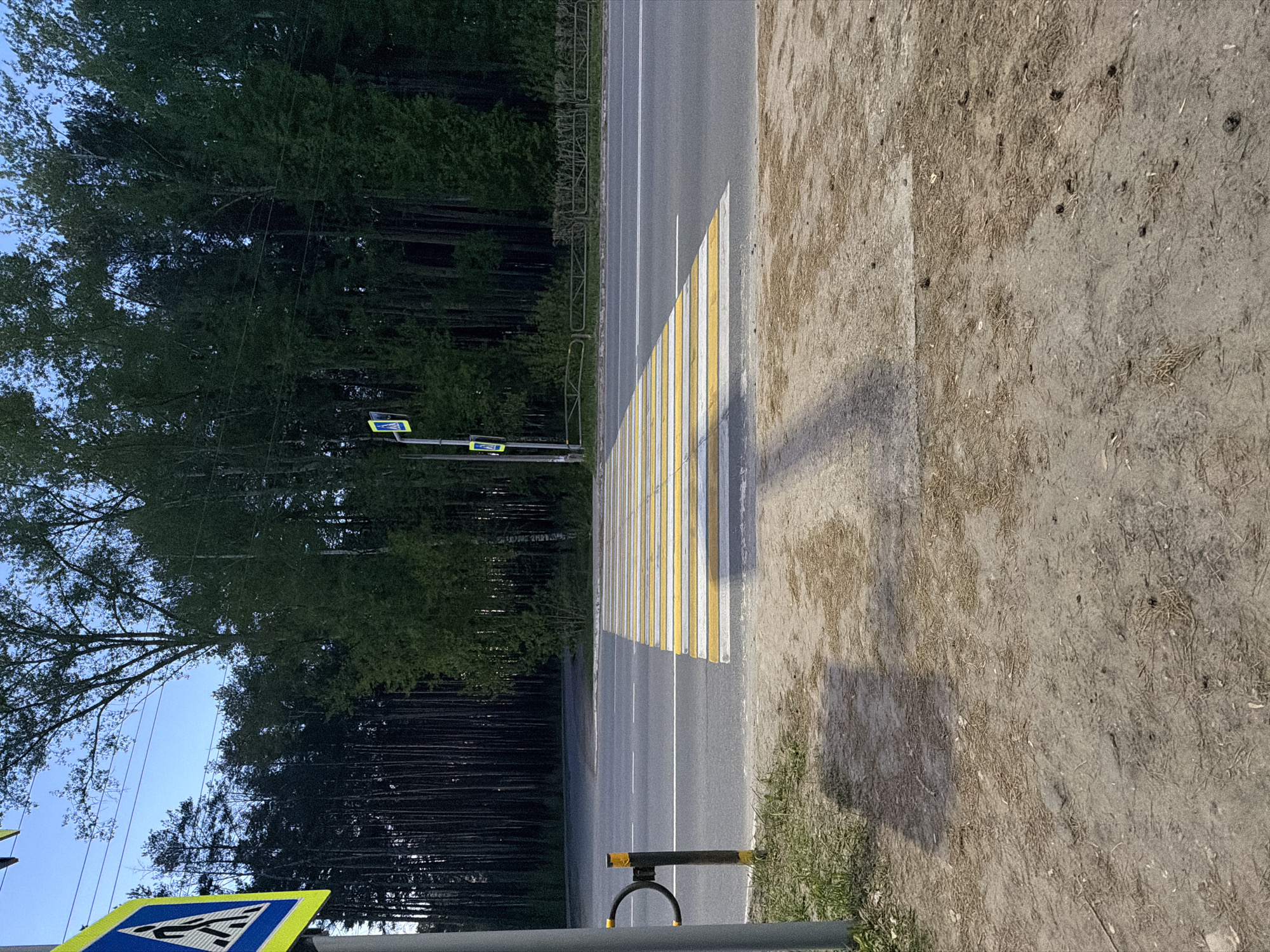 The image shows a road in Chaikovsky, Russia with a pedestrian crossing. The crossing is marked with white and yellow stripes. On one side of the road is a forest, and on the other side is a dirt path. A pedestrian crossing sign is visible. A black and yellow traffic bollard sits at the edge of the curb.