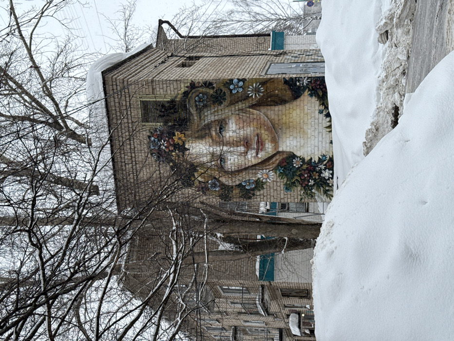 The scene depicts a winter street view in Chaikovsky, Russia. A large mural, measuring approximately two-thirds the height of the structure, is painted on the light-colored brick exterior of a small, rectangular utility building. The mural portrays the head and shoulders of a woman with light-colored hair and blue eyes, adorned with a colorful floral crown and garland consisting of blue, white, yellow, and red flowers with green foliage. A window opening is visible above the mural, and a door is on the building's right side. The building's flat roof is covered with a thick accumulation of snow. To the left and slightly behind this building, a multi-story brick residential building with multiple balconies and windows is partially visible. The immediate foreground features substantial, uneven snowdrifts. Bare deciduous trees with snow-dusted branches are distributed throughout the image, with one prominent tree trunk partially obscuring the view. The sky is overcast and uniformly grey. No individuals are present, and no actions are observed within the frame.