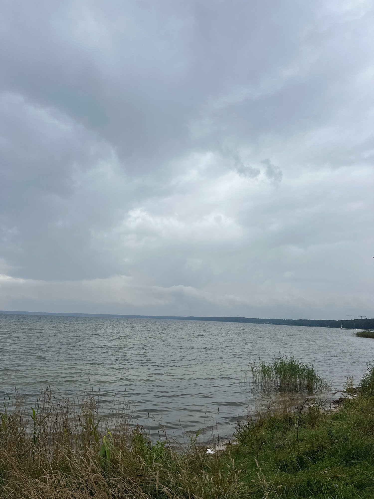 The image depicts a wide view of a calm lake under a cloudy sky. The foreground features a dense growth of tall, dry grass and some green reeds along the shoreline. The lake water is a muted gray, with gentle ripples indicating a light breeze. In the distance, a faint line of trees marks the opposite shore. The sky is overcast with heavy, gray clouds, suggesting a somber or potentially rainy day. There are no people or animals visible in the scene. The overall environment is natural and serene, with the absence of any man-made structures or urban elements, giving a sense of remoteness. This scene is likely located on the outskirts of the Нарацкі сельскі Савет, Belarus, given the presence of a large body of water and natural vegetation typical of the region.