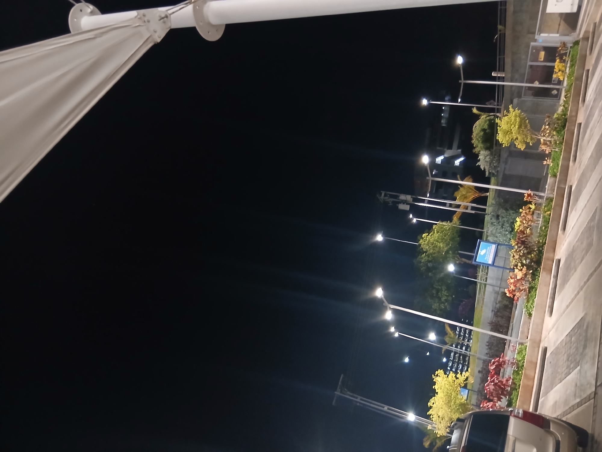 Captured at night, the image shows a brightly lit outdoor space in Pampatar, Venezuela. Streetlights are visible in a row, illuminating plants, trees, and bushes planted in a line. A vehicle is parked in the foreground near the lighted path. The sky is black, and a white canopy structure is evident on the left side of the image.