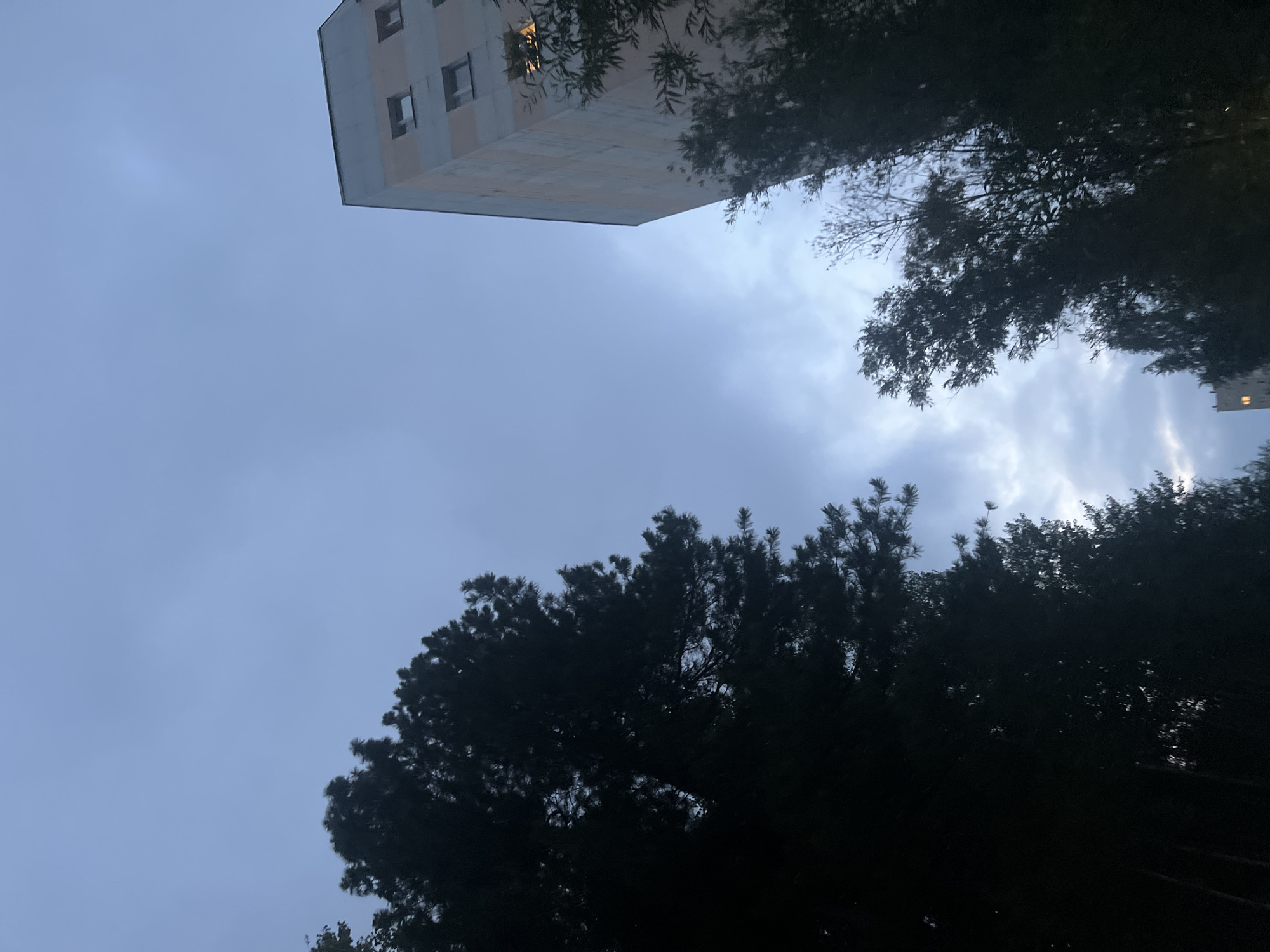 The image is a low-angle shot taken at dusk, looking up at the sky. On the right side of the frame, the upper corner of a multi-story building is visible. The building has a light pink and grey striped facade and several square windows, some of which are lit. In the foreground and left side of the image, the dark silhouettes of several trees, including a pine tree, obscure the sky. The sky is overcast with muted blue and grey tones, with some lighter patches indicating where the clouds are thinner or where the sky is brighter. The overall impression is one of an urban setting at the end of the day. The building is typical of residential architecture found in cities like Surgut, Russia, particularly in districts developed during the Soviet era, characterized by their block-like structures and functional design. The presence of evergreen trees suggests a climate with distinct seasons, common in Western Siberia.