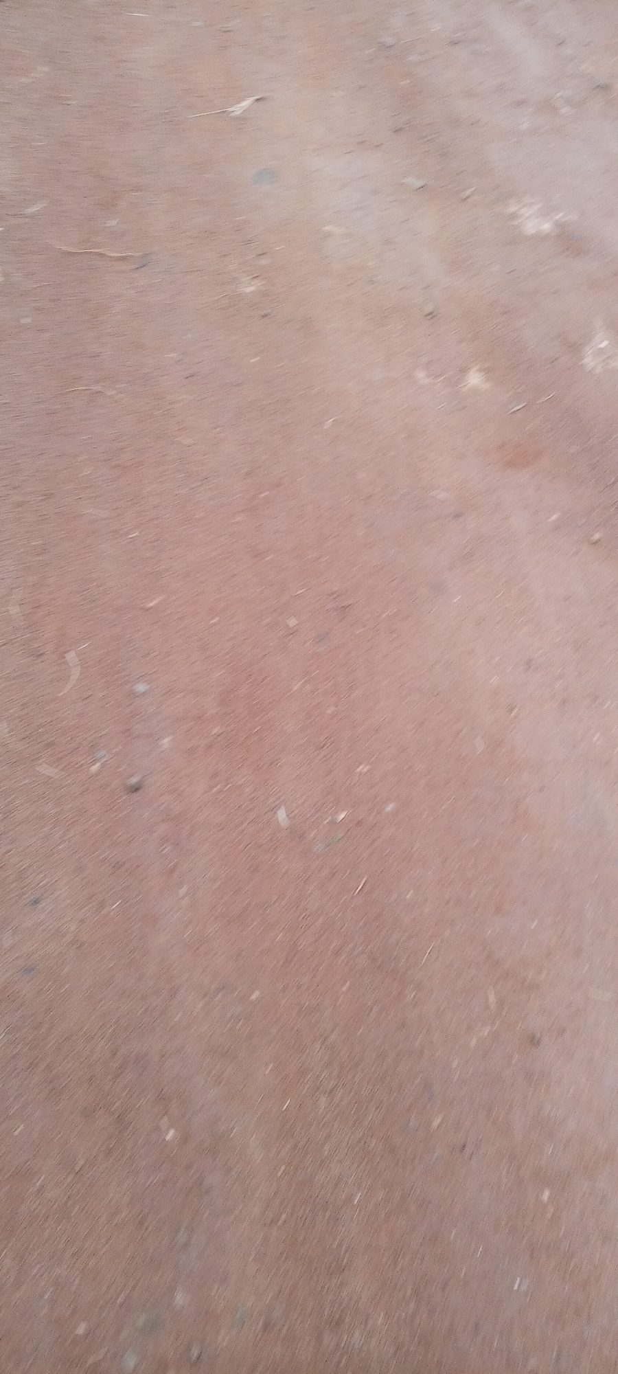 The image shows a close-up, blurry view of a dusty, reddish-brown ground surface. The surface appears to be composed of fine dirt and small pebbles. There are some lighter-colored specks and streaks scattered across the surface, which could be dust, dry grass fragments, or other debris. The overall texture is granular and uneven. The lighting suggests an outdoor environment, possibly during the day. The scene is devoid of any distinct features or recognizable objects that would suggest a specific location or activity. The image appears to be taken from a slightly elevated, angled perspective, looking down at the ground. No people, structures, or any specific details that would pinpoint it to Bahit, Nigeria or any other location are visible.