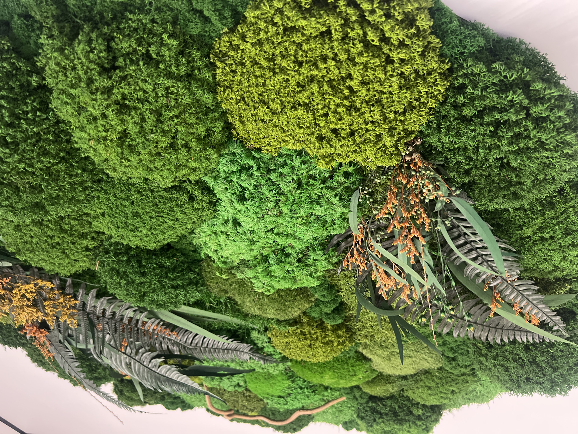 This is a close-up, high-angle, eye-level medium shot of a verdant moss wall installation. The wall is composed of various textures and shades of green moss, creating a lush, naturalistic effect. Scattered amongst the moss are decorative elements that resemble dried branches with small, orange-brown seed pods and dark, grey-green fern fronds. The overall impression is one of a dense, living forest floor or a preserved natural landscape. The lighting appears to be artificial and even, casting no strong shadows, suggesting an indoor setting. There is no visible text or any indication of people or a specific time of day or weather. The composition focuses entirely on the intricate details and varied textures of the moss and decorative elements, evoking a sense of tranquility and natural beauty.