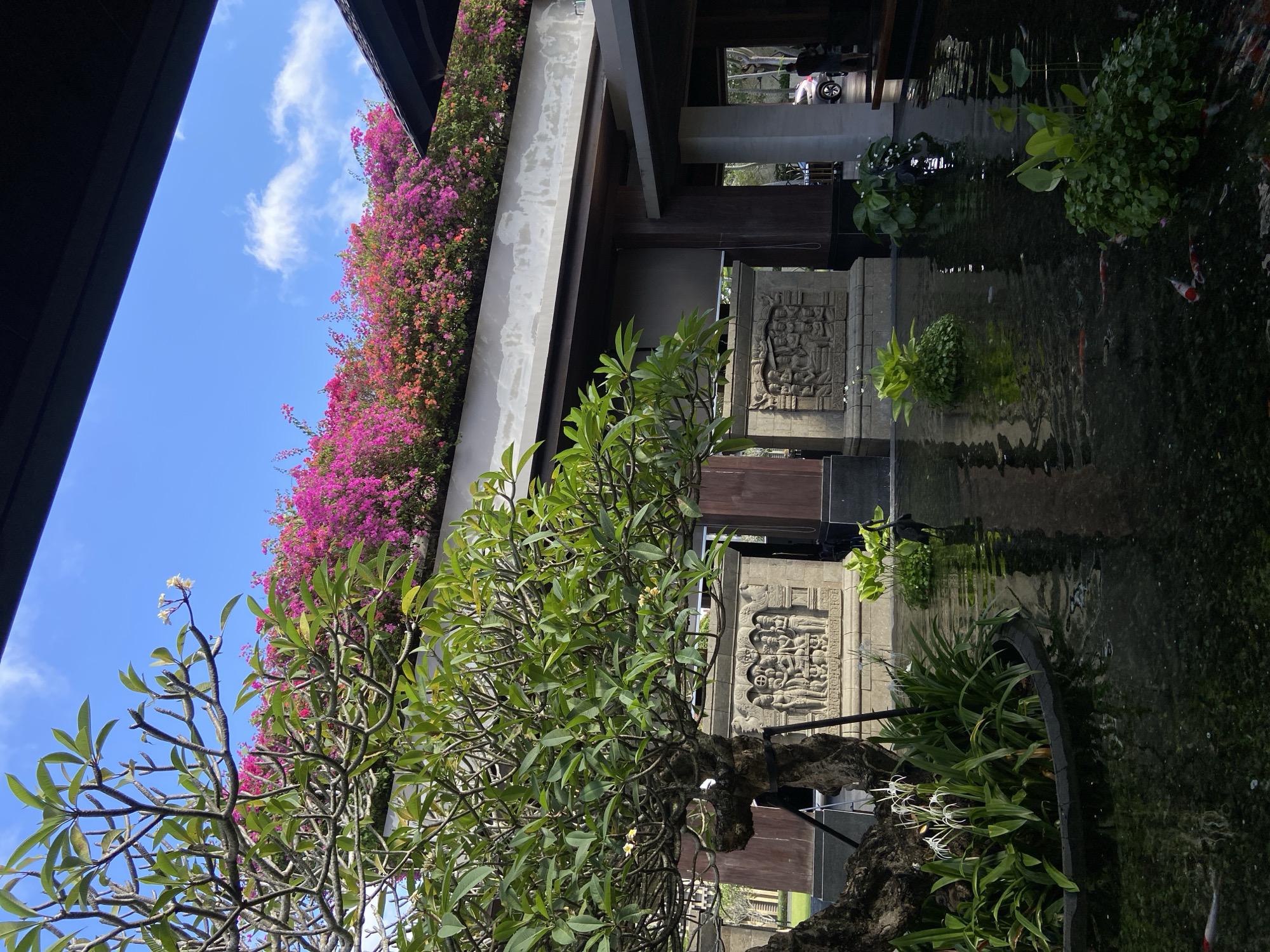 The image captures a serene outdoor scene in Kuta Selatan, Indonesia, featuring a building adorned with vibrant pink bougainvillea flowers cascading from its rooftop. Below, a frangipani tree with green leaves is in the foreground. Carved stone panels are visible, likely part of a water feature, and their reflections can be seen in the water. Patches of aquatic plants float on the water's surface. The sky is blue with sparse white clouds. The architecture incorporates a blend of modern and traditional Balinese elements.