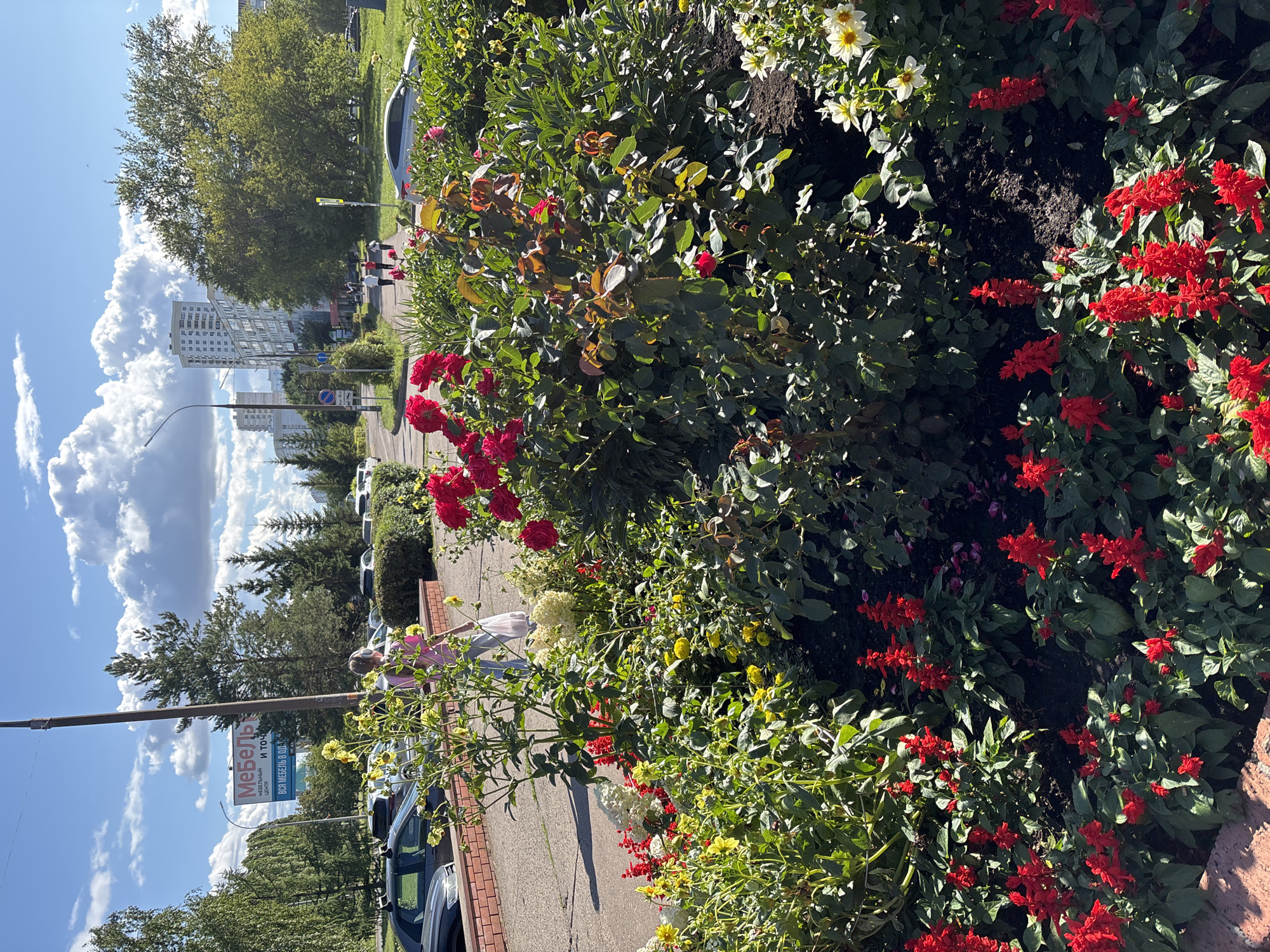 This is a medium shot of a flowerbed in Naberezhnye Chelny, Russia, on a sunny day with scattered clouds. The foreground is dominated by a vibrant display of red salvia flowers, yellow dahlias, and red roses. Behind the flowers, a paved walkway is visible, with a woman in a pink shirt and blue jeans walking away from the camera, carrying a white plastic bag. In the background, cars are parked along a sidewalk, and a large billboard advertising "Furniture" is prominently displayed. Further in the distance, several multi-story residential buildings and trees line the street, indicating an urban environment. The sky is blue with white, puffy clouds.