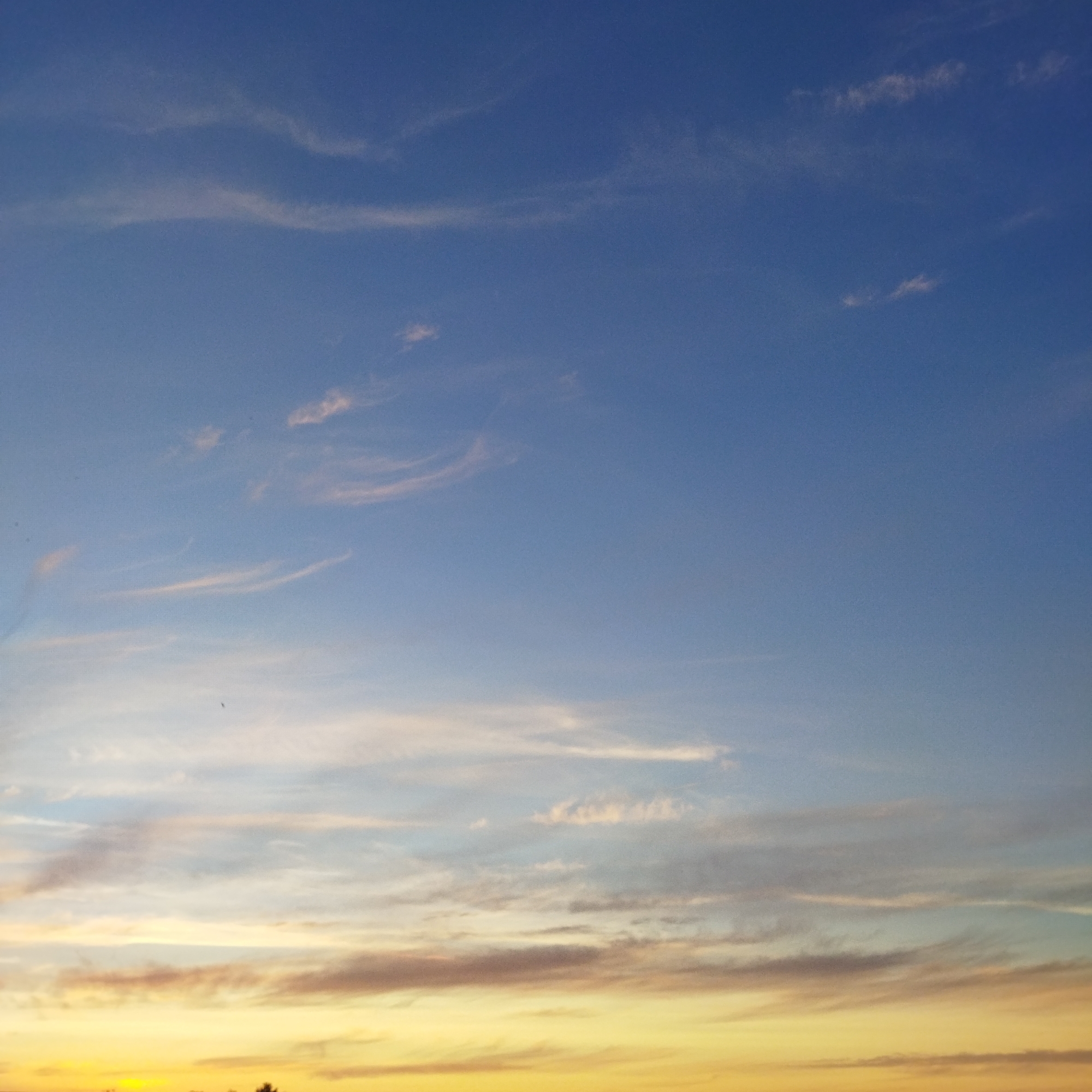 This is a landscape photograph of a sunset sky. The sky is a gradient of colors, starting with a deep blue at the top, transitioning to lighter blues and pinks, and finally to a bright yellow and orange at the horizon. Wispy clouds are scattered throughout the sky, catching the light and adding texture. The bottom of the image shows a sliver of a dark horizon line, possibly indicating trees or buildings. There are no people or specific objects clearly visible in the image. The location is listed as Unknown, Unknown.