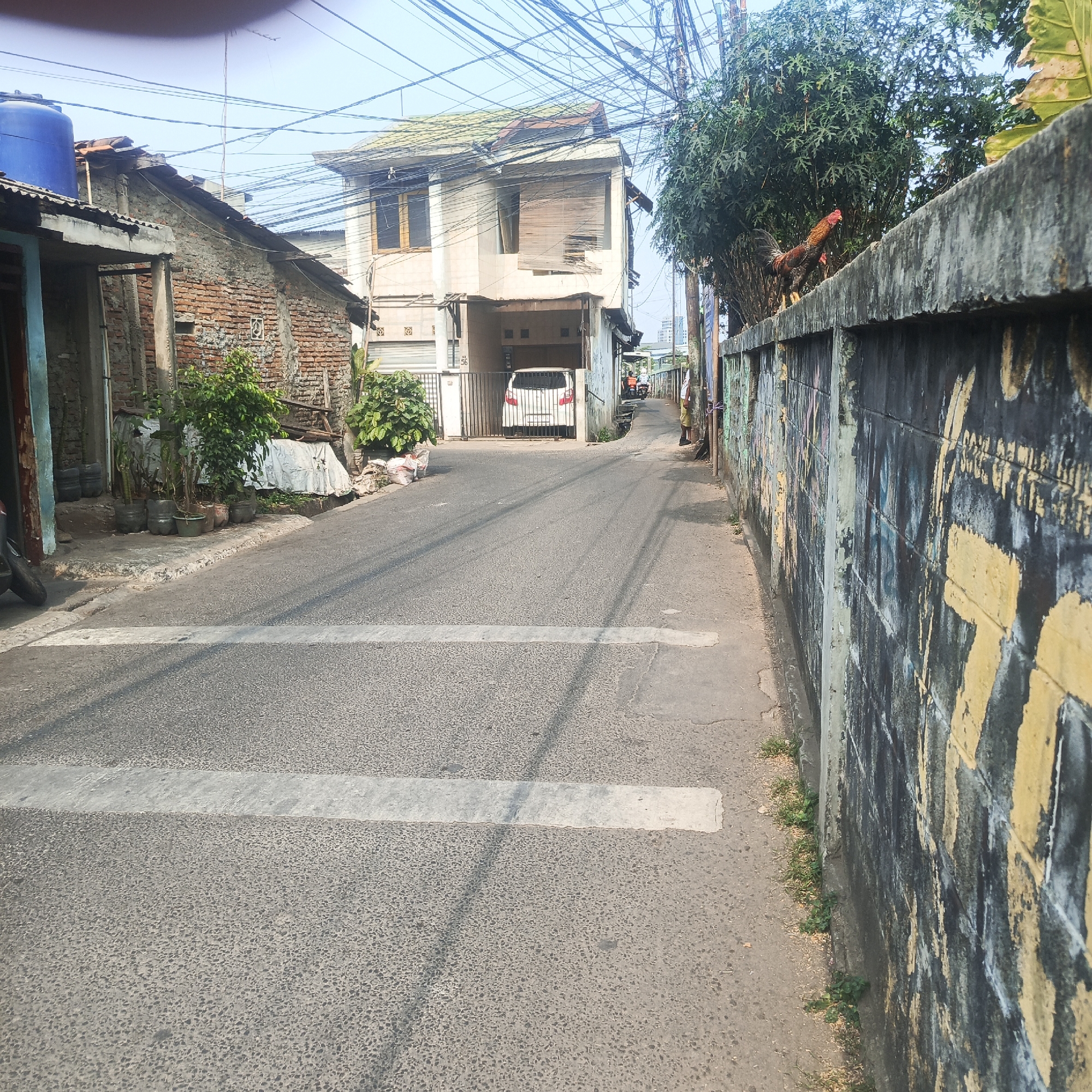 A narrow, paved street runs through a densely populated urban area, likely a residential alley, in South Jakarta, Indonesia. On the left, a modest brick house with a corrugated metal roof and a blue water tank is visible. Further down the street, a two-story house with a light-colored facade and what appears to be damaged wooden blinds is the most prominent structure. A white car is parked in the garage area of this house. A metal fence partially encloses the property.
To the right of the street, a tall, rough-textured concrete wall stretches into the distance, covered in layers of graffiti, some of which is yellow. Above the wall, a rooster is perched, facing left. Dense green foliage from trees is visible behind the wall. Overhead, a complex network of electrical wires crisscrosses the sky, a common sight in urban Indonesian settings.
The street itself has two white pedestrian crossing lines painted across it. The pavement is asphalt, showing some wear and tear. The lighting suggests it is daytime, with shadows cast on the road. Further down the street, a few people on motorbikes can be seen, indicating ongoing activity in the area. The overall impression is of a typical, lived-in urban environment with a mix of older and newer constructions.