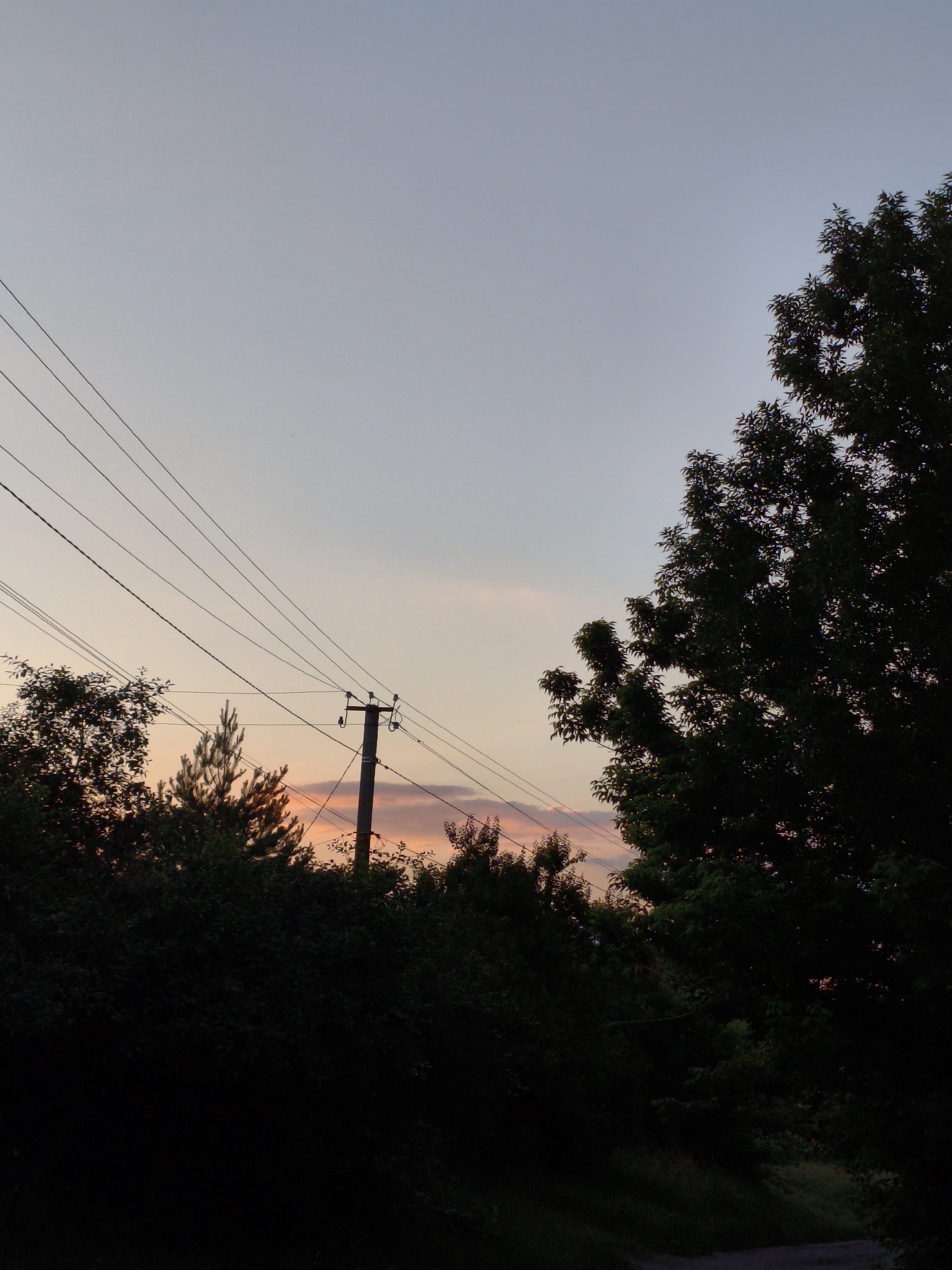 The image depicts a rural scene in Ustyvytsia, Ukraine, during twilight. A clear, pale blue sky with subtle hints of pink and orange from the setting sun dominates the upper portion of the frame. Several power lines stretch diagonally across the sky from the left side of the image. A wooden utility pole stands vertically in the mid-ground, supporting these lines. In the foreground and mid-ground, a dense line of dark green foliage, comprising trees and bushes, obscures the lower part of the scene. On the right side, a large tree with dark leaves stands prominently, its silhouette against the sky. The overall atmosphere is serene and evokes the end of a day in a natural, undeveloped setting.