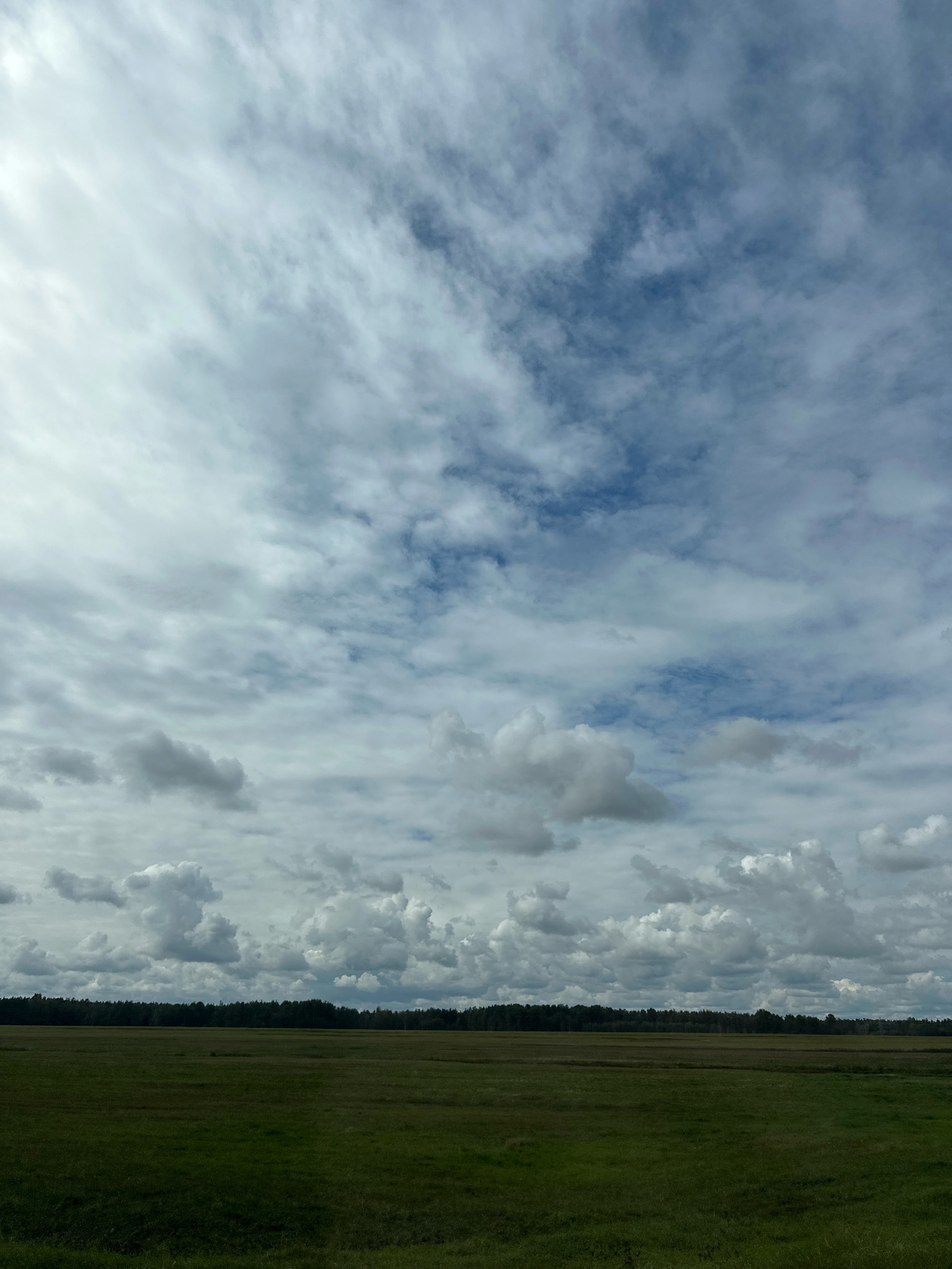 A wide, flat field of green grass stretches horizontally across the lower half of the image, meeting a dark line of trees at the horizon. Above the trees, a vast sky is filled with a dynamic arrangement of clouds. Lighter, wispy clouds drift across the upper portion, while denser, more textured clouds cluster lower down, casting shadows and creating a sense of depth. The lighting suggests an overcast or partly cloudy day. The location is identified as Сычкаўскі сельскі Савет, Belarus, indicating a rural landscape. There are no people or specific objects visible in the scene, only the natural environment of the field, forest, and sky.