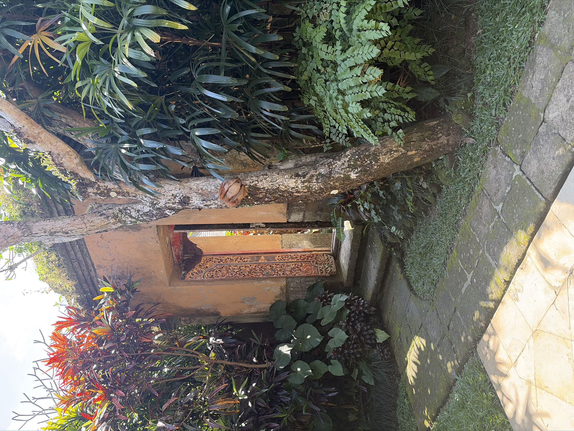 An outdoor, eye-level, medium shot captures a sunlit path leading to a partially open, intricately carved wooden door set within an aged, terracotta-colored wall. The doorway is framed by lush, tropical greenery, including broad-leafed plants and ferns. A mature tree with rough bark stands to the right of the path, its trunk partially obscuring the doorway and leaning towards the viewer. The path is paved with irregular stone slabs, some of which are covered in moss. The scene is suggestive of an entrance to a tranquil garden or courtyard in Ubud, Indonesia, characterized by its natural beauty and traditional architecture. There are no people in the image.