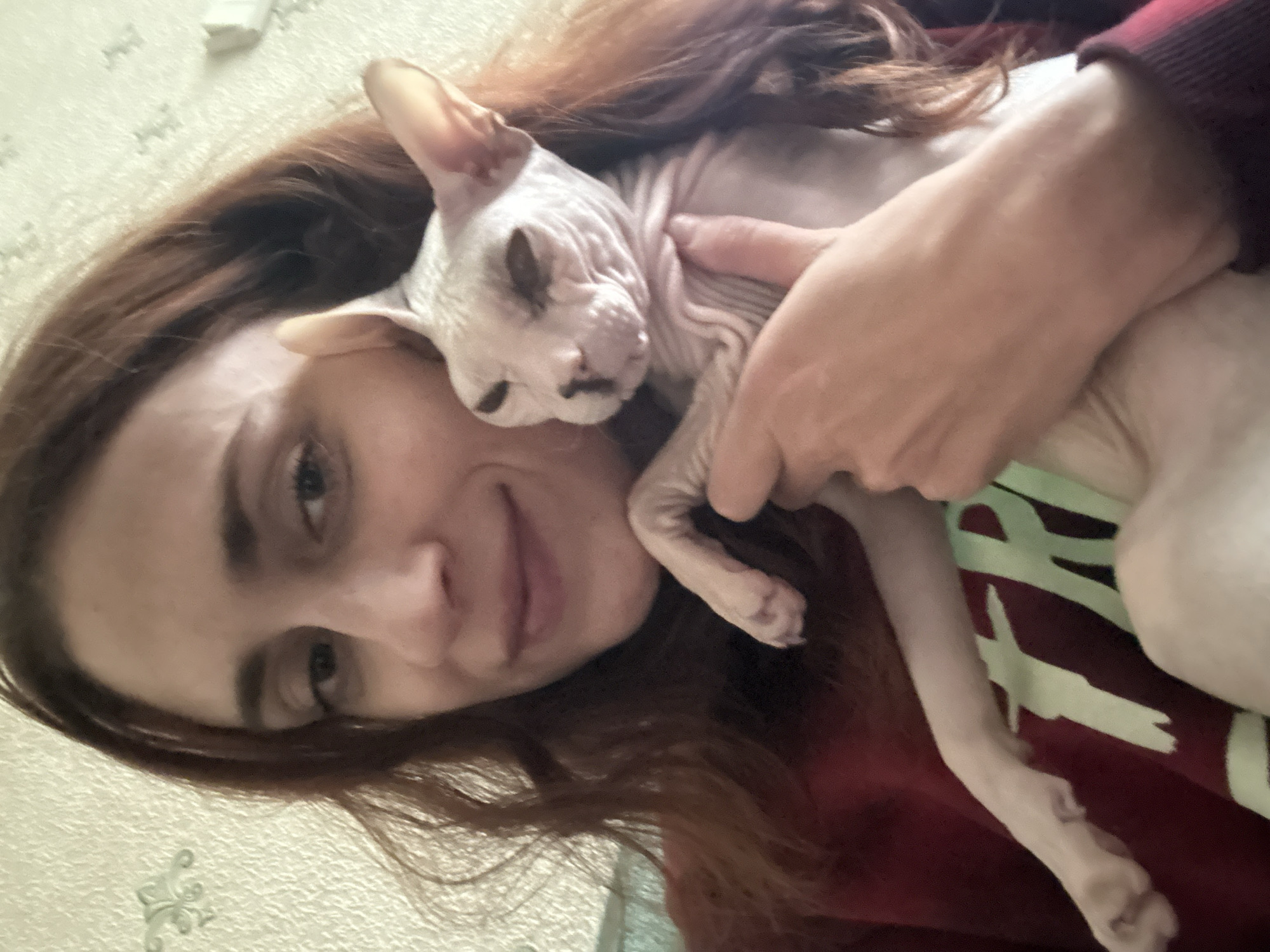 In Togliatti, Russia, a close-up, eye-level shot features a young woman with auburn hair holding a hairless Sphynx cat. The woman is wearing a maroon sweatshirt with a light green graphic on it. The cat is light-colored with wrinkled skin and is nestled against the woman's chest, its face turned towards the camera. The background is an indoor setting with textured wallpaper. The lighting is bright, suggesting it might be daytime.
