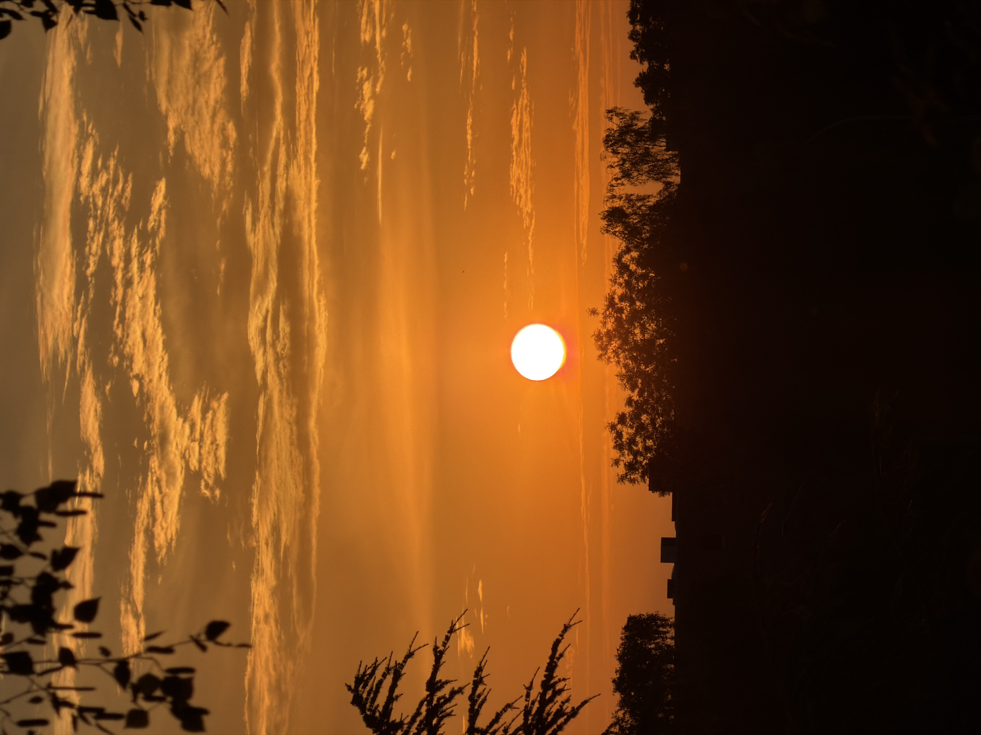 The image captures a vibrant sunset over Leudelange, Luxembourg. The sky is dominated by hues of orange and yellow, with wispy clouds stretched horizontally. The sun, a bright white orb, is positioned slightly to the left of the center, casting a warm glow. In the foreground, the silhouettes of trees with dark foliage frame the scene from the top left and right, with a more dense line of trees forming a dark silhouette along the horizon. Partially visible amongst the trees on the horizon are the dark, rectangular shapes of buildings. The lower portion of the image is almost entirely black, obscuring details of the ground and any potential human presence.