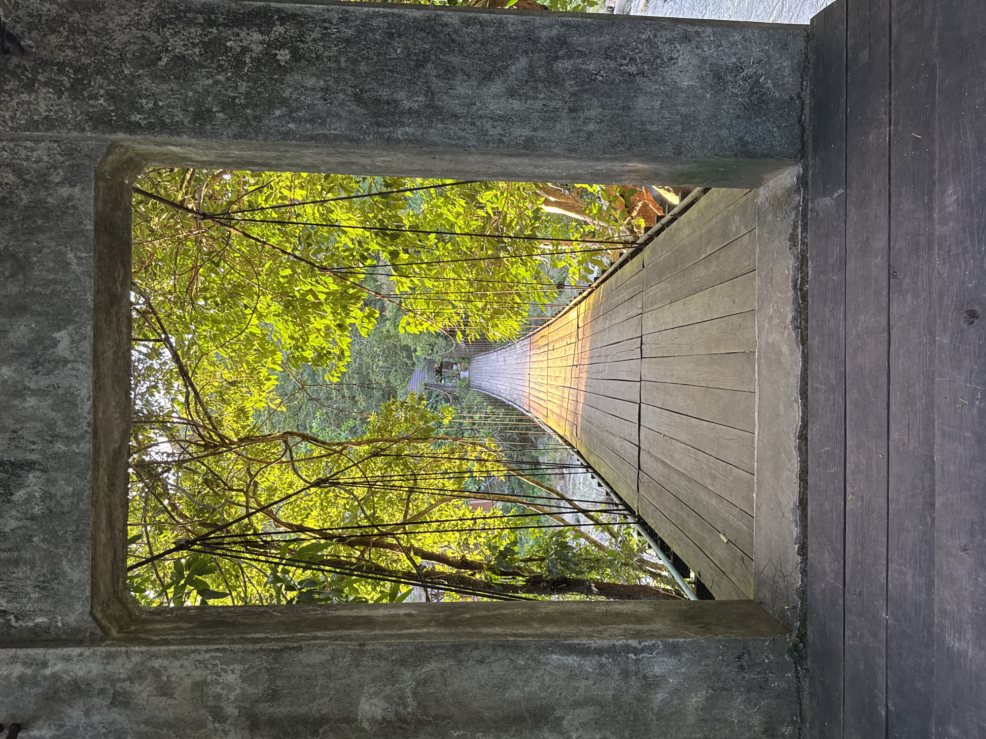 The image shows a wooden suspension bridge seen from within a concrete archway. The bridge spans across a body of water, with lush green foliage on either side. The sunlight filters through the leaves, casting a warm glow on the wooden planks of the bridge, which appear weathered and worn. The bridge extends into the distance, where it leads to a small structure with a thatched roof, possibly a pavilion or a small building. The concrete archway frames the view of the bridge and its surroundings, creating a sense of depth and perspective. The overall scene suggests a tranquil, natural setting, likely a park or a nature reserve. The presence of the suspension bridge and the surrounding greenery could be characteristic of natural attractions in Ranong, Thailand, known for its tropical landscapes and rainforests. There are no people visible in the image. The scene is static and peaceful.