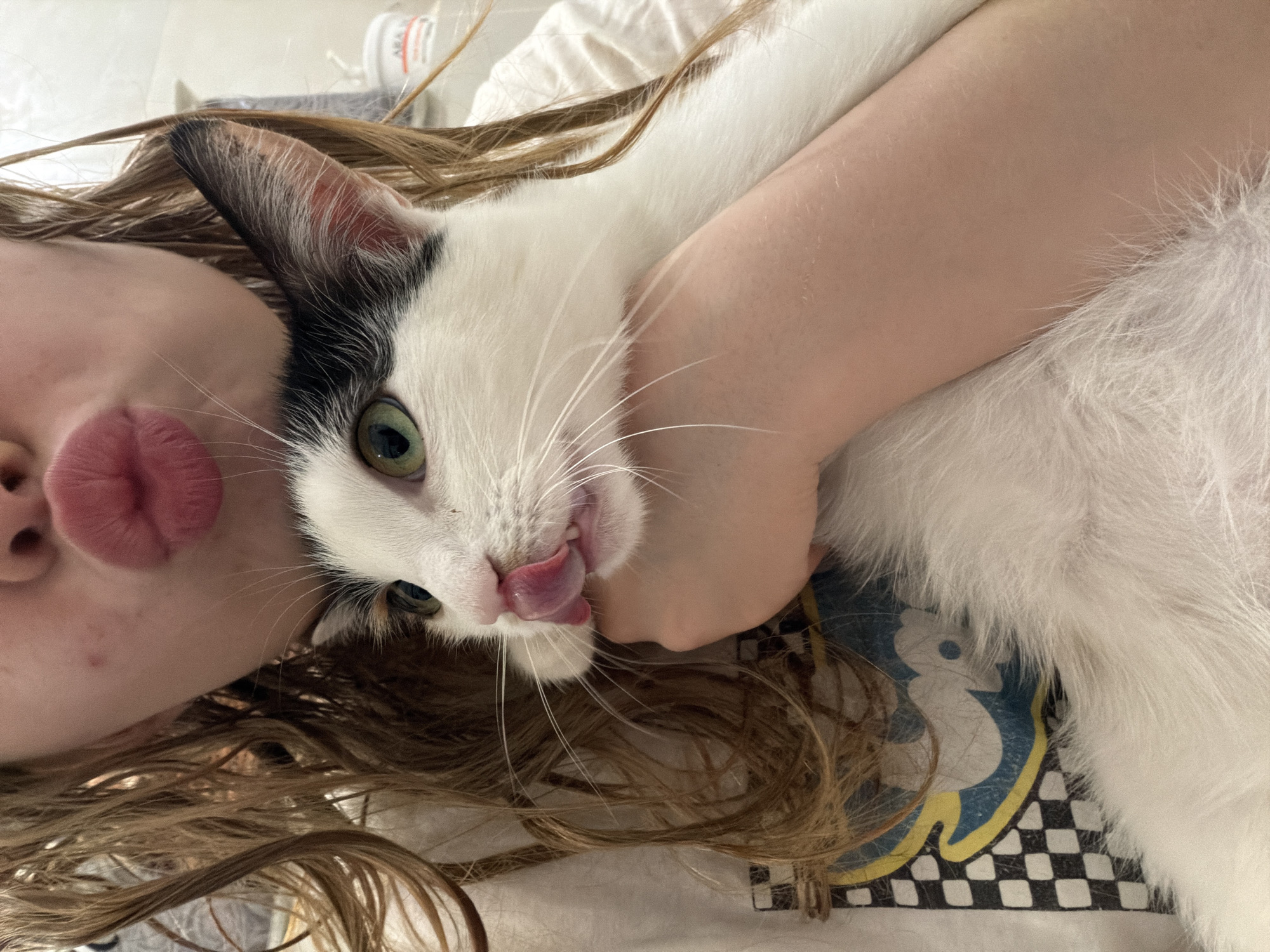 A close-up portrait captures a tender and playful moment between a person and a cat in an indoor setting. The image is taken from an overhead perspective, with the subjects lying down, possibly in a bed or on a couch.
The main subjects are a person, likely a young female, and a domestic cat. Only a portion of the person's face is visible: the left cheek, chin, and pursed pink lips, hinting at a playful or kissing expression. Her long, wavy brown hair spreads around her head. Her bare left arm is visible, wrapped around the cat, suggesting she is cuddling or holding it closely.
The cat is predominantly white with distinct black markings, including a large patch over its right eye and ear, and possibly some subtle calico hints near its eye. It has striking green eyes and long white whiskers. The cat's tongue is extended, actively licking its nose or mouth, indicating a moment of grooming or a casual action.
The background elements include a white, possibly textured, surface (like a sheet or blanket) that the subjects are resting on. Below the cat's body, a portion of clothing or fabric with a black and white checkerboard pattern and a faded blue graphic (possibly a seahorse shape) is visible. In the blurred background, some indistinguishable objects, possibly bottles, are faintly present, but no discernible text can be read.
The overall mood of the image is one of affection and comfort. The lighting appears soft and bright, suggesting daytime indoors. No specific outdoor weather or time of day details are discernible. While the image itself offers no explicit location cues, the provided context places the scene in Rossiyskiy, Russia.