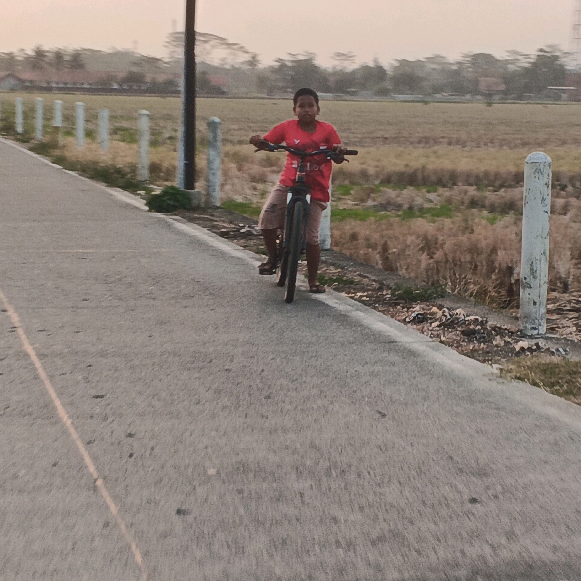 A young boy in a red t-shirt and brown shorts rides a bicycle on a paved road. He is looking forward, with a neutral expression. The road is grey and slightly worn, with a faint yellow line on the left side. To the right of the road is a dry, grassy field with scattered shrubs. White posts are lined up along the edge of the field. In the background, there are trees and some buildings, suggesting a rural or semi-rural setting. The sky is overcast with a pale, warm hue, indicating it may be sunrise or sunset. The overall impression is of a serene, everyday scene in the Indonesian countryside, possibly in the city of Kalikudi.