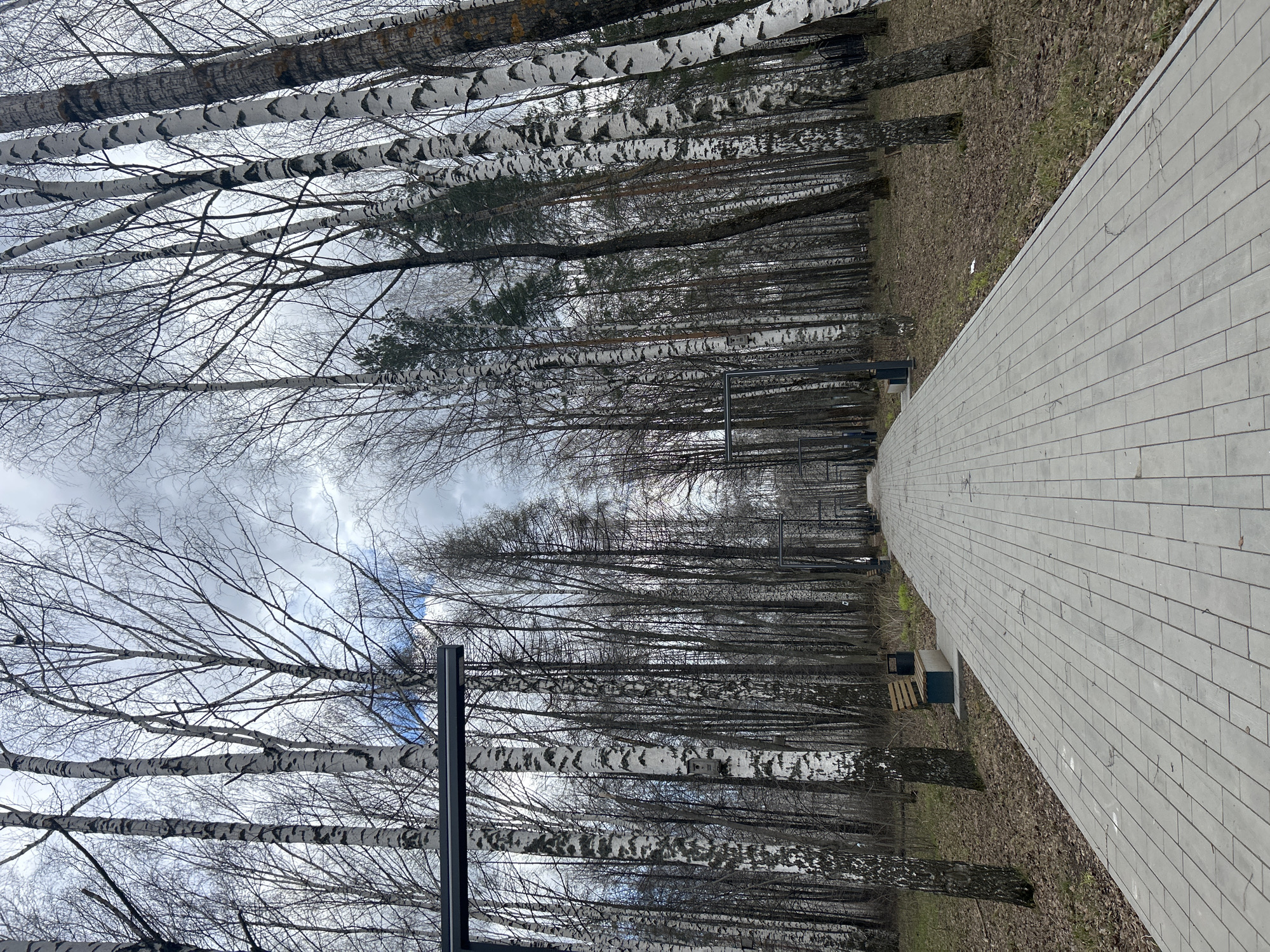 This media file captures a wide, straight paved path extending into the distance, bordered by a dense stand of trees under an overcast sky. The path, made of light grey rectangular paving stones, occupies the right side of the frame. To its left, a prominent line of birch trees with distinctive white and black bark forms a natural barrier, beyond which lies a thicker forest comprising mostly tall, bare deciduous trees and some dark green conifers.
The ground surrounding the path and beneath the trees is covered with a thick layer of dry, brown leaves and sparse patches of dull green grass, suggesting a late winter or early spring season. Two dark, low-lying rectangular structures, possibly benches or planters, are visible next to the path in the foreground. Further into the scene, among the birch trees, two dark vertical poles, likely lampposts, stand out.
The sky is cloudy and grey, with diffuse light indicating daytime. No people are present, and no specific activity is taking place, contributing to a serene and somewhat somber atmosphere. There is no visible text in the image. The scene depicts a park or natural area in Chaikovsky, Russia.