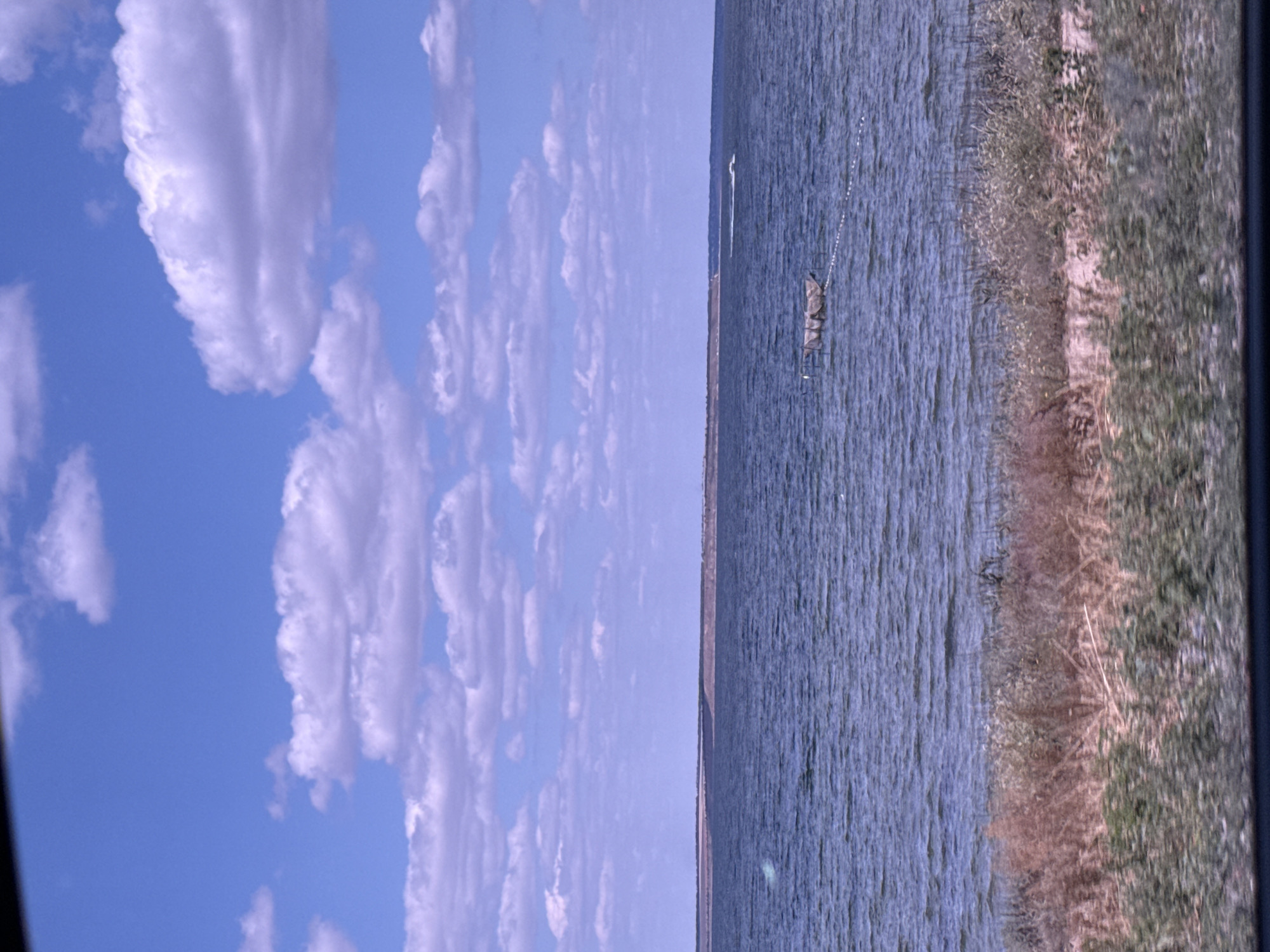 The image depicts a body of water, likely the Black Sea, bordering the resort town of Kobleve, Ukraine. A light blue sky with scattered white clouds fills the upper portion of the frame. The water is a deep blue with visible ripples, suggesting a moderate breeze. In the middle distance, a small, dark object floats on the water, possibly a buoy or a small fishing raft, with a rope extending from it. Further in the distance, a white wake indicates a boat moving across the water. The shoreline in the foreground is characterized by dry, light-colored vegetation and some patches of green foliage, with a dark, indistinct band at the very bottom suggesting the edge of a road or pathway. The horizon line is flat, with a low, brownish landmass visible across the water.