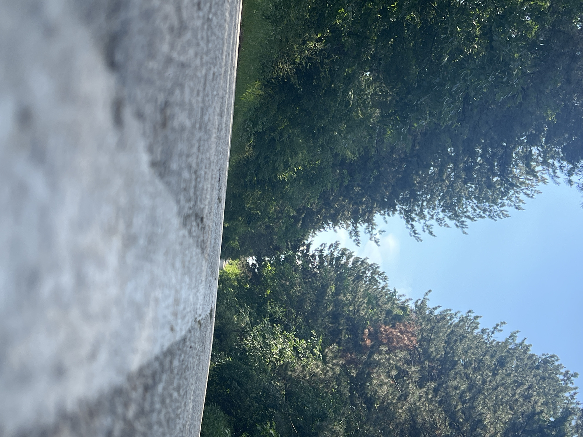 The image depicts a view looking upwards through trees toward a blue sky. A concrete barrier is prominent in the foreground and is positioned at a sharp angle to the left. The trees are green and dense, forming a canopy overhead. The sky is visible through the gaps in the foliage. The location is in the city of Unknown, Unknown.