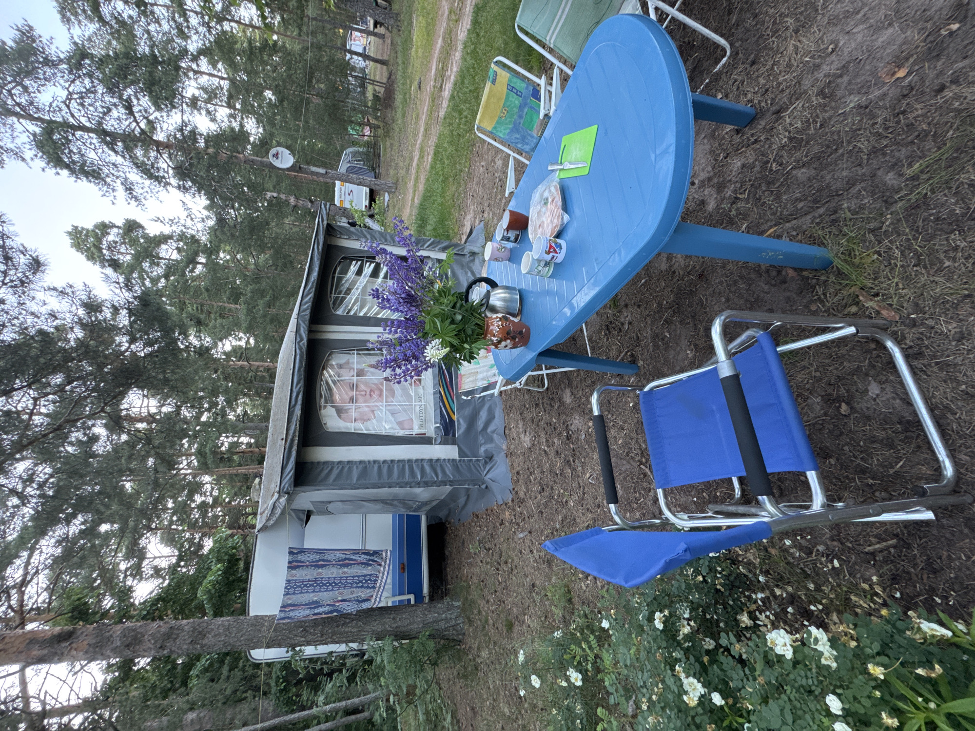 The image depicts a campsite in the city of Ozerki (Krasnodolinskaya), Russia. A caravan is parked on a dirt ground, partially covered by a gray awning. Blue and white patterned fabric is hanging on the side of the caravan. In front of the caravan, a blue plastic table is set up with several items: a metal teapot, four mugs, a vase with purple flowers, a package of food, and a green cutting board with a knife. Two chairs, one blue and one with a multi-colored fabric seat, are placed at the table. In the foreground, a blue folding chair is visible. The environment is wooded, with tall pine trees surrounding the campsite. The ground is covered with dirt, pine needles, and some low-lying green plants with white flowers. The sky is visible through the trees and appears overcast.