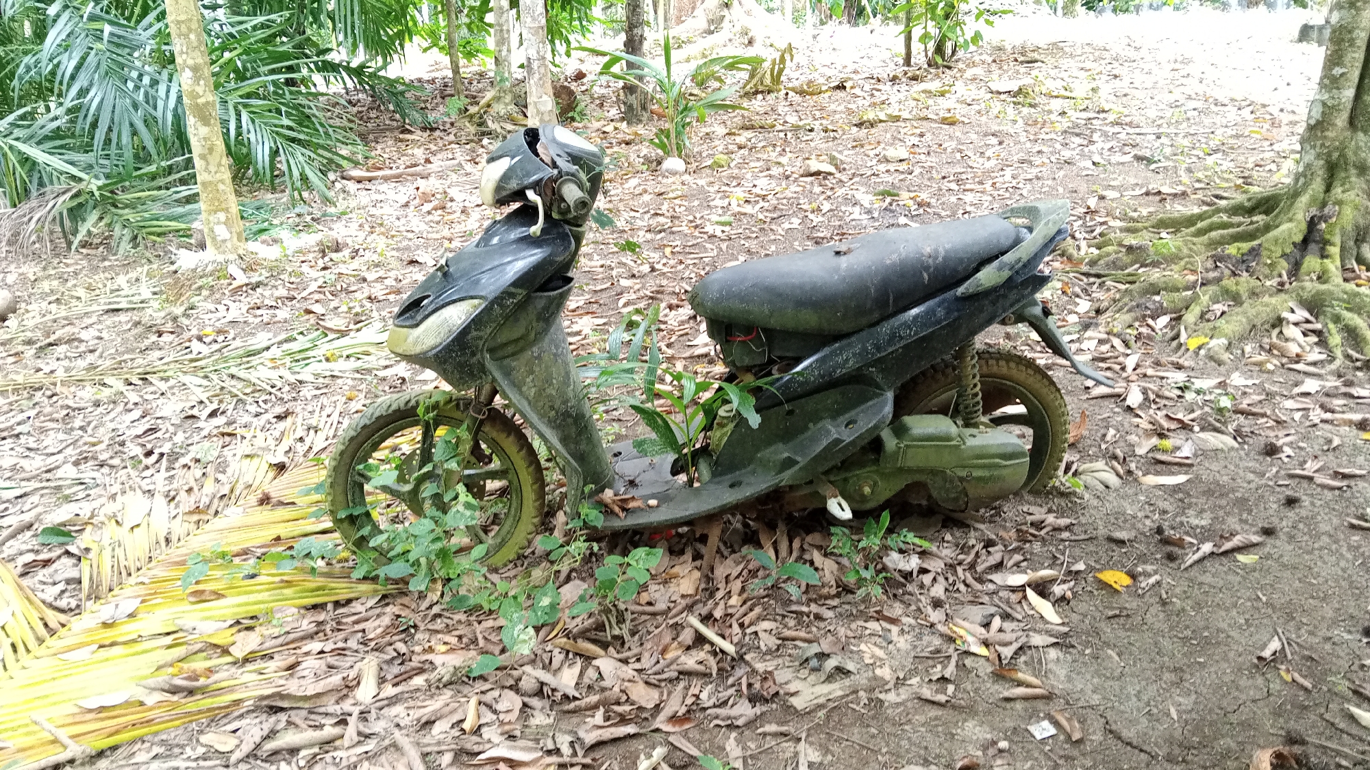 A black scooter is parked on a dirt path in a jungle-like environment, possibly in Meunasahuket, Indonesia. The scooter is partially covered in leaves and dirt, with vegetation growing around its wheels and base. The surrounding area is filled with fallen leaves, tree roots, and dense foliage. The scene appears abandoned and overgrown.