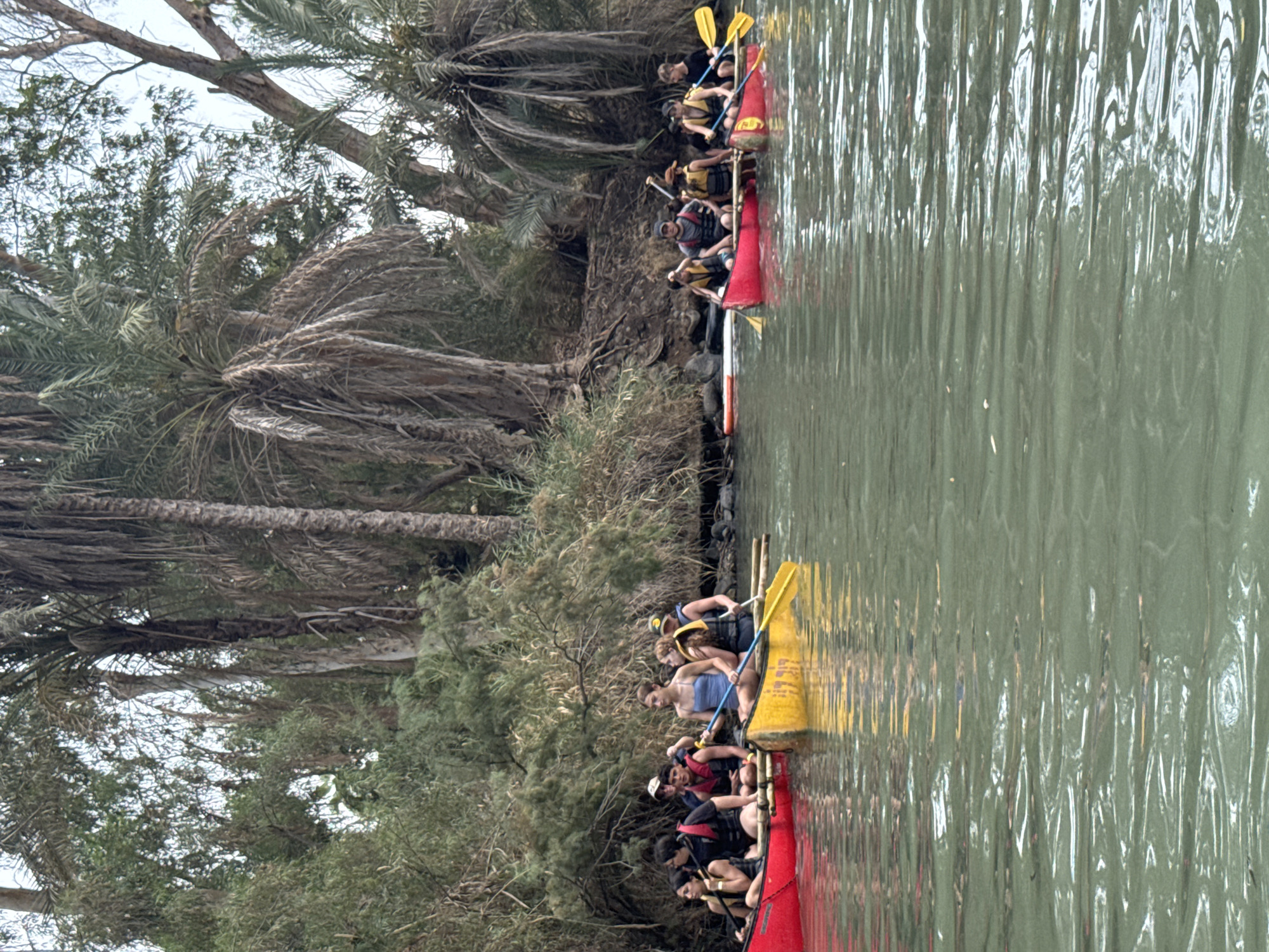 This is a medium shot taken from a body of water, looking towards a treeline. In the foreground, two canoes are in the water, one red and one yellow. The red canoe is on the left, and the yellow canoe is to its right. Both canoes are filled with people wearing life vests. In the red canoe, there are five individuals, three women and two men. In the yellow canoe, there are four individuals, three men and one woman. The people in both canoes appear to be paddling. The yellow canoe has Hebrew writing on its side, "כנרת 319". The background consists of lush green trees, including palm trees, and a rocky embankment. The water is a murky green color and appears to be a river or lake. The overall scene suggests an outdoor recreational activity. The location is identified as Emek HaYarden Regional Council, Israel.