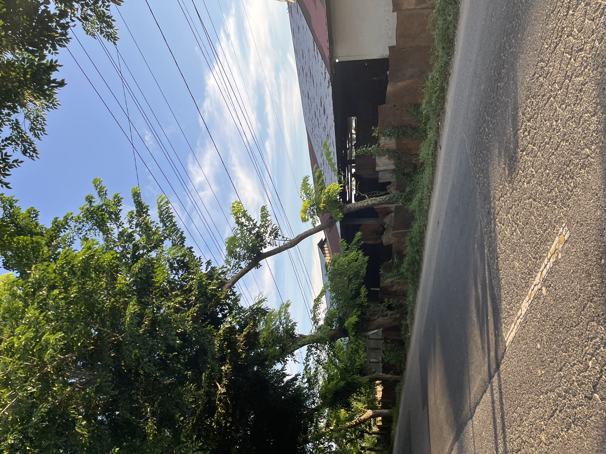 The image depicts a roadside scene in Seuneubokpunti, Indonesia, under a bright blue sky with scattered white clouds. A paved road occupies the foreground, marked with double yellow lines. On the left side of the road, a dense cluster of lush green trees casts shadows onto the asphalt. Beyond the trees, a long, low-rise building with a weathered, corrugated metal roof is visible. Some sections of the building appear to be open-air structures. Various rusty metal sheets and reddish-brown walls form a border between the road and the building. Overhead, a series of dark electrical wires crisscross the sky. The overall impression is one of a rural or semi-urban environment with established vegetation and functional structures.