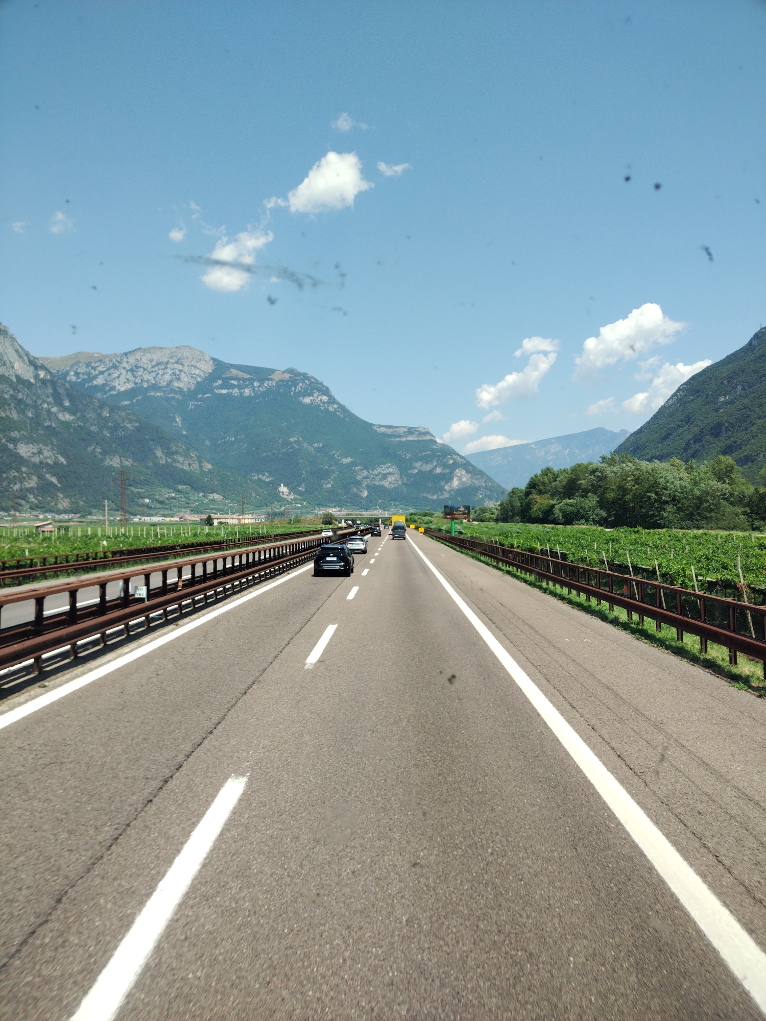The image is a roadside view of a highway in Avio, Italy, on a sunny day with a clear blue sky dotted with white clouds. The highway, with asphalt paving and white lane markings, runs through a valley flanked by lush green mountains. A rusty metal guardrail separates the highway from a vineyard on the right side of the road. Several cars are visible on the highway, driving in the same direction as the viewer. The scene is devoid of any people, and the overall impression is one of travel and natural beauty.