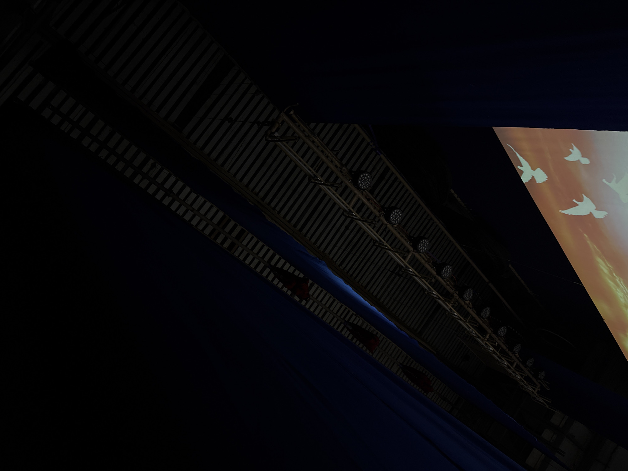 The image shows an upward view of a stage setting inside a building in Perm, Russia. The ceiling has a striped pattern and is crisscrossed with metal trusses supporting stage lights. Stage lighting systems are attached to the truss. A projection screen with bird silhouettes is visible in the upper right. A dark blue drape is seen to the side and below, adding depth to the scene.