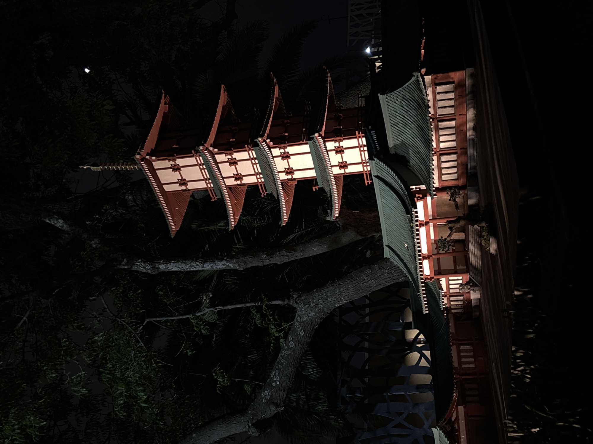At night in Puebla, Mexico, a partially visible, brightly lit, modern Asian style building rises behind a tree. The building features red-trimmed windows and a green roof. The tree's branches obscure a large portion of the building, and its leaves are visible in the dim light. A bright point of light is visible in the dark sky.