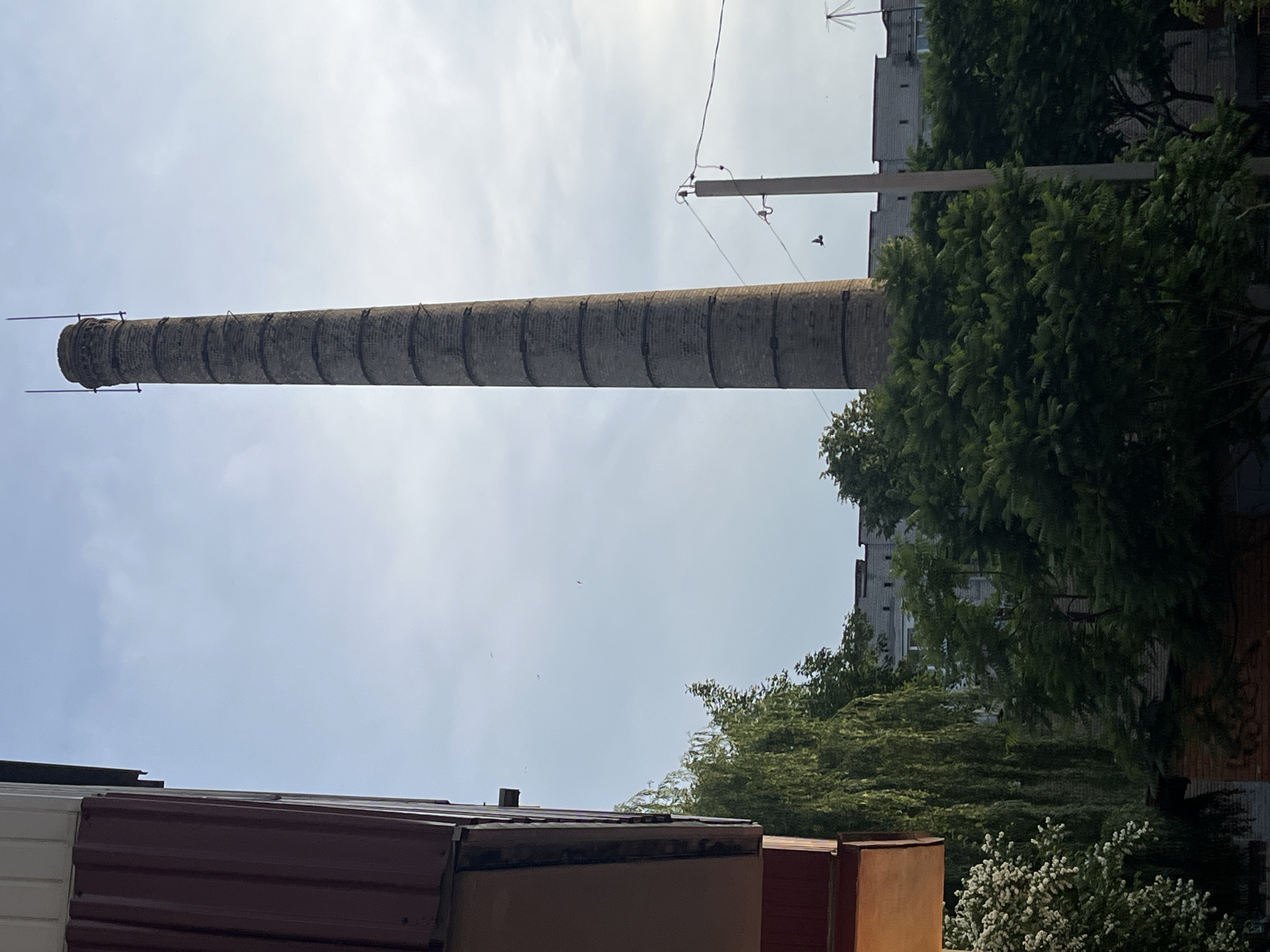 An outdoor, full-shot, eye-level photograph captures a tall, cylindrical brick smokestack dominating the center of the frame. The smokestack, made of gray bricks, shows signs of wear and is segmented by visible bands. At its very top, two thin, vertical rods extend upwards, and a wire structure is attached to the side. To the left of the smokestack, the edge of a building with maroon siding is visible. In the foreground and mid-ground, lush green trees and foliage are abundant. A few small birds are seen in flight against the pale, cloudy sky. A utility pole with electrical wires is positioned to the right of the smokestack. In the background, behind the trees, is a long, low-rise building with a gray facade and visible windows.