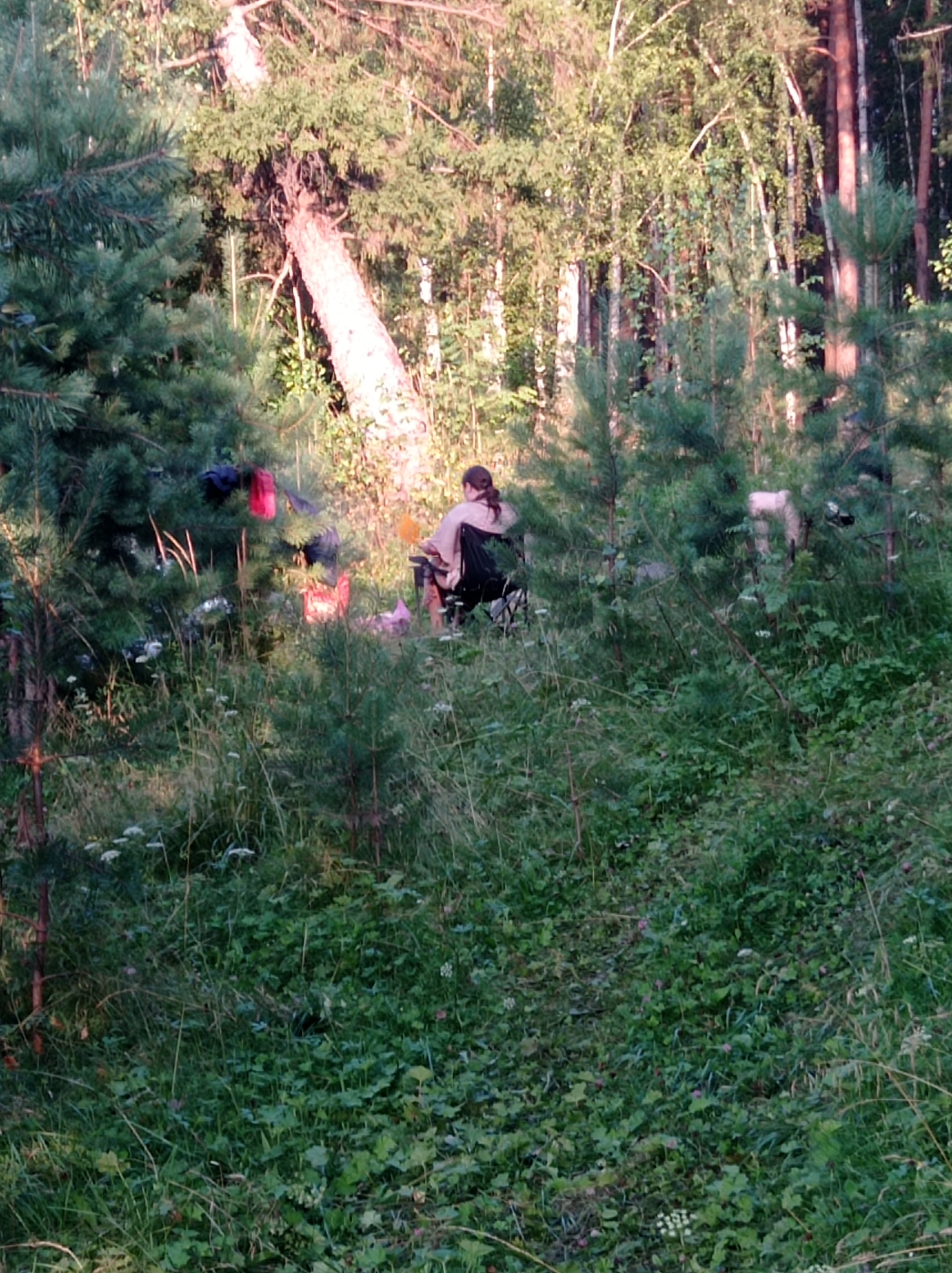 A young woman with brown hair pulled back is sitting in a dark-colored camping chair. She is wearing a light-colored long-sleeved shirt. The woman is facing away from the camera, looking towards a dense forest. In front of her, to her left, are several colorful items of clothing, including a bright red garment, hanging from the branches of a pine tree. A large, fallen tree trunk with visible bark is also present in the background, angled across the scene from left to right. The ground is covered in lush green grass and various low-lying plants. The overall setting appears to be a natural, wooded area, possibly a campsite. There are no visible buildings or city infrastructure in the image. The scene does not provide any specific information that can place it in Degtyarsk, Russia.