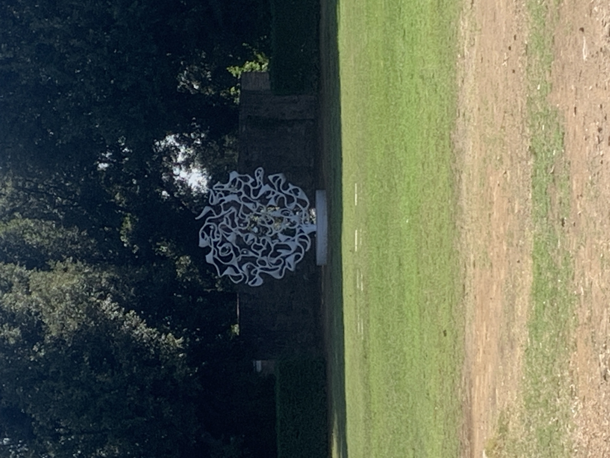 This is a full-frame, eye-level shot of a large, white, abstract sculpture in a park setting. The sculpture is centrally located and appears to be made of metal, with a complex, organic form resembling a tangled mass of white lines. It is mounted on a simple, light-colored base.
Behind the sculpture, there is a low, dark stone wall, with sections of greenery behind it, possibly hedges. Further back, a dense line of dark green trees forms the backdrop.
In front of the wall and sculpture, there is a wide expanse of well-maintained green grass. The grass is lush and appears to be mown. Towards the bottom of the frame, the grass transitions into a patch of dry, light brown, and gravelly ground. There are a few indistinct markings or lines on the grass in the foreground, which could be part of the park's design or recent maintenance.
The lighting suggests it is daytime, with the sun casting shadows and illuminating the scene. The overall environment is serene and outdoors. The image does not contain any visible people, animals, or vehicles.
This sculpture is located in the Horti Leonini in San Quirico d'Orcia, Italy.